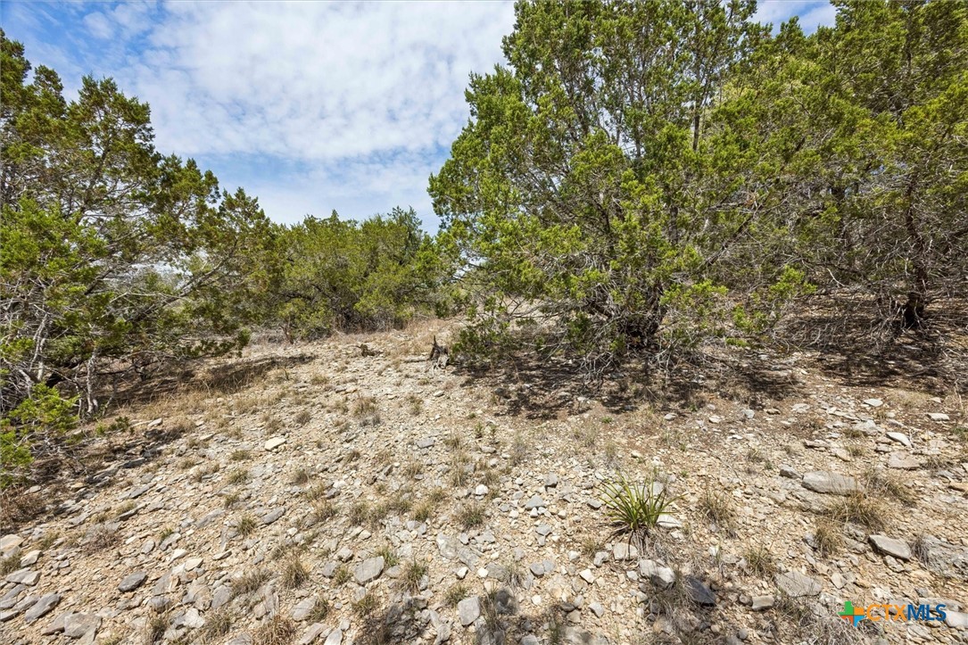 1082 Madrone Road Fischer, TX 78623 - Photo 12 of 12