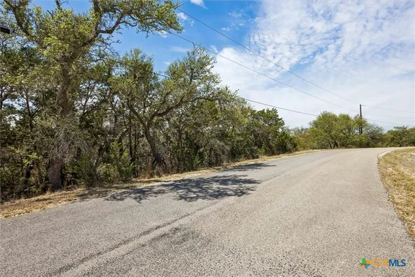 a view of a dry yard with trees