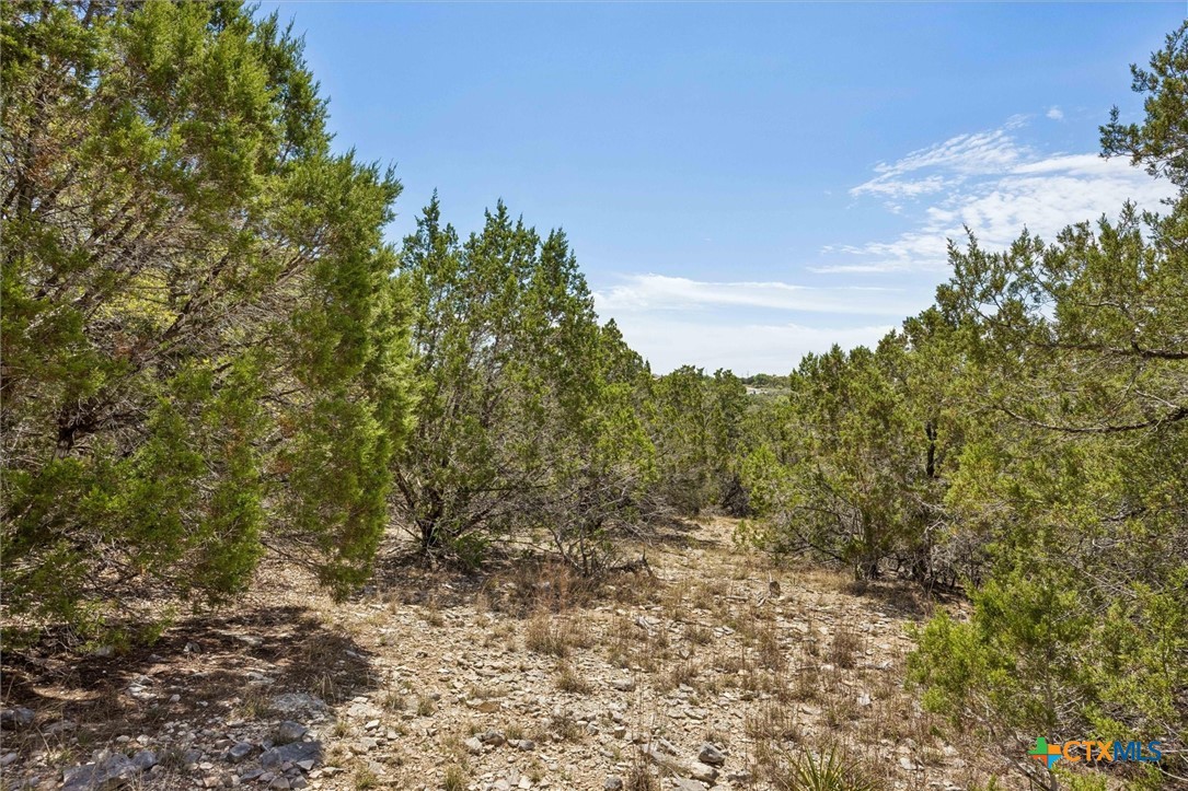 1082 Madrone Road Fischer, TX 78623 - Photo 6 of 12