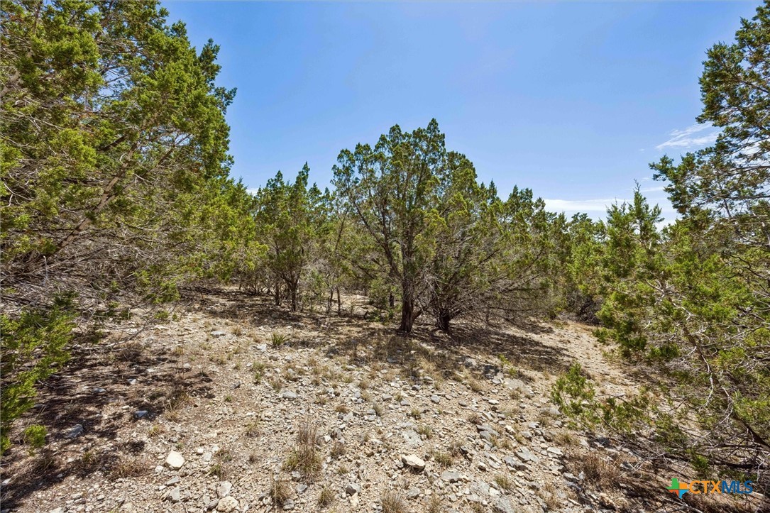 1082 Madrone Road Fischer, TX 78623 - Photo 7 of 12