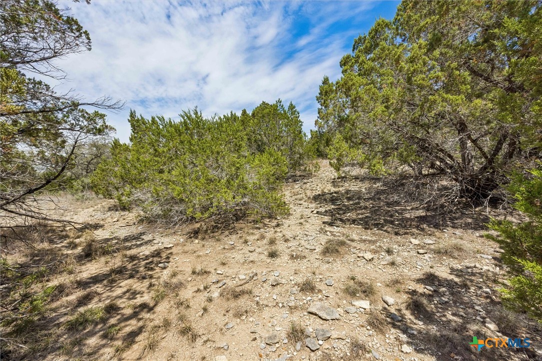 1082 Madrone Road Fischer, TX 78623 - Photo 8 of 12