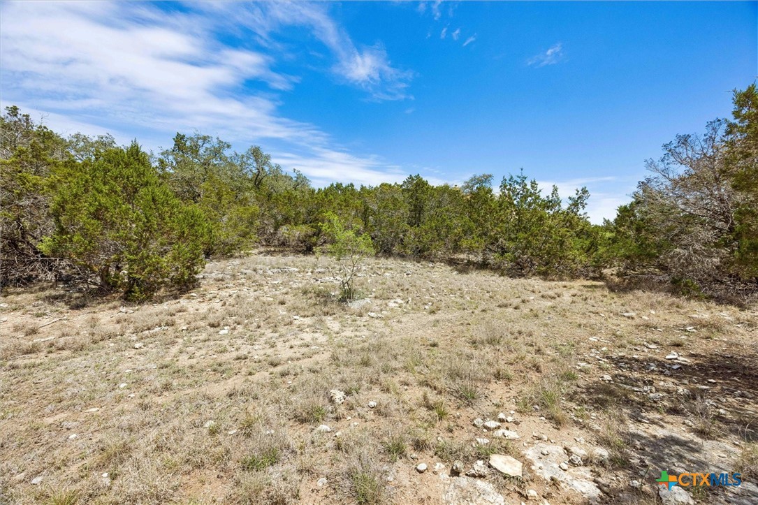 1082 Madrone Road Fischer, TX 78623 - Photo 9 of 12