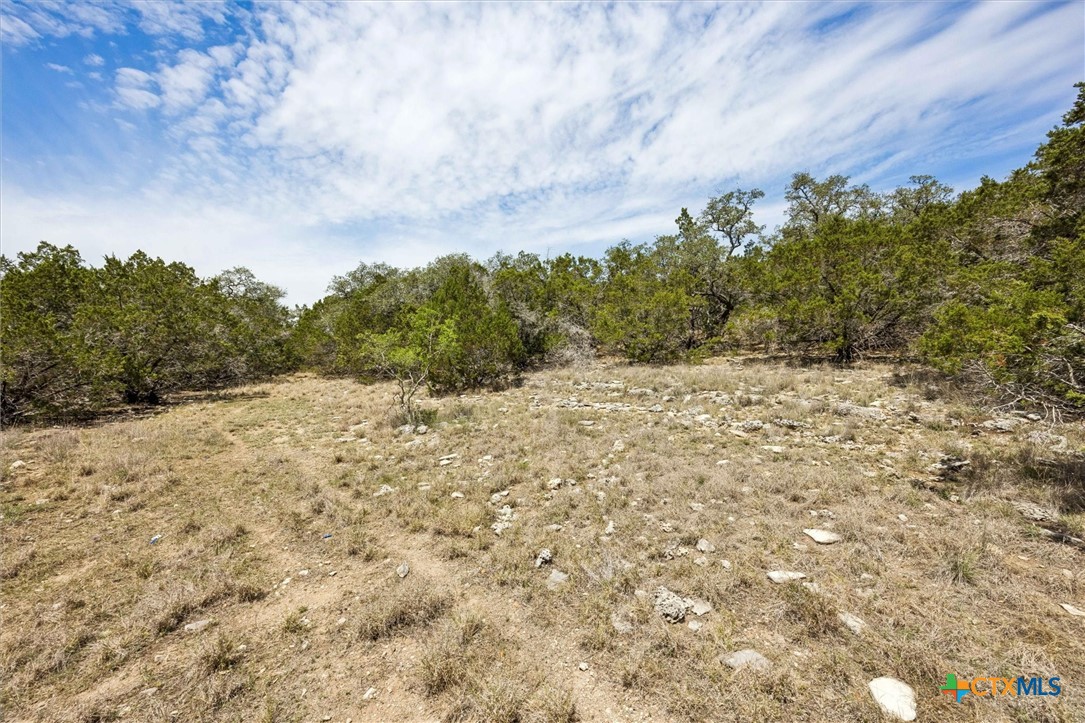1082 Madrone Road Fischer, TX 78623 - Photo 10 of 12