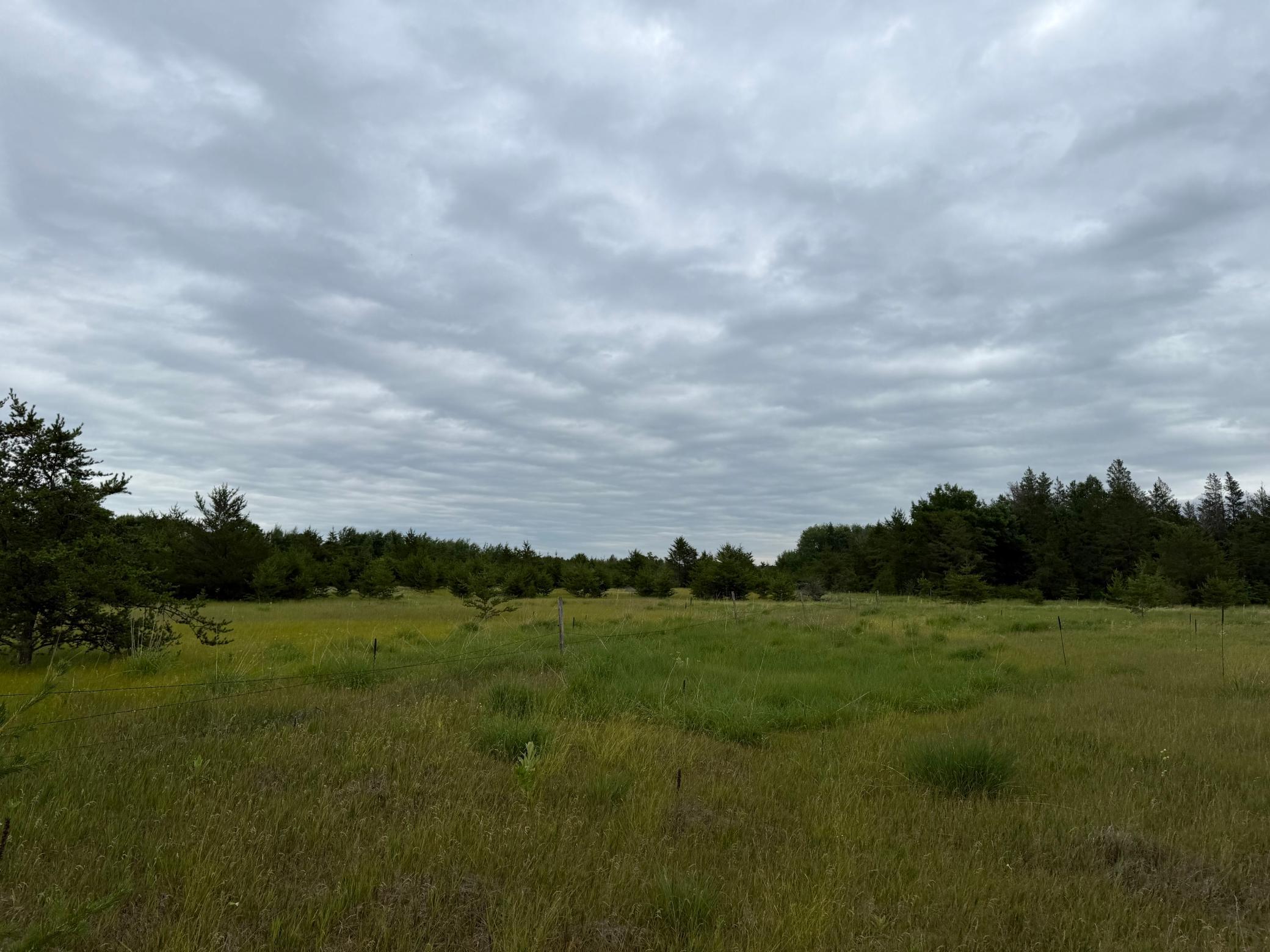 Tbd 350th Street Sebeka, MN 56477 - Photo 75 of 100