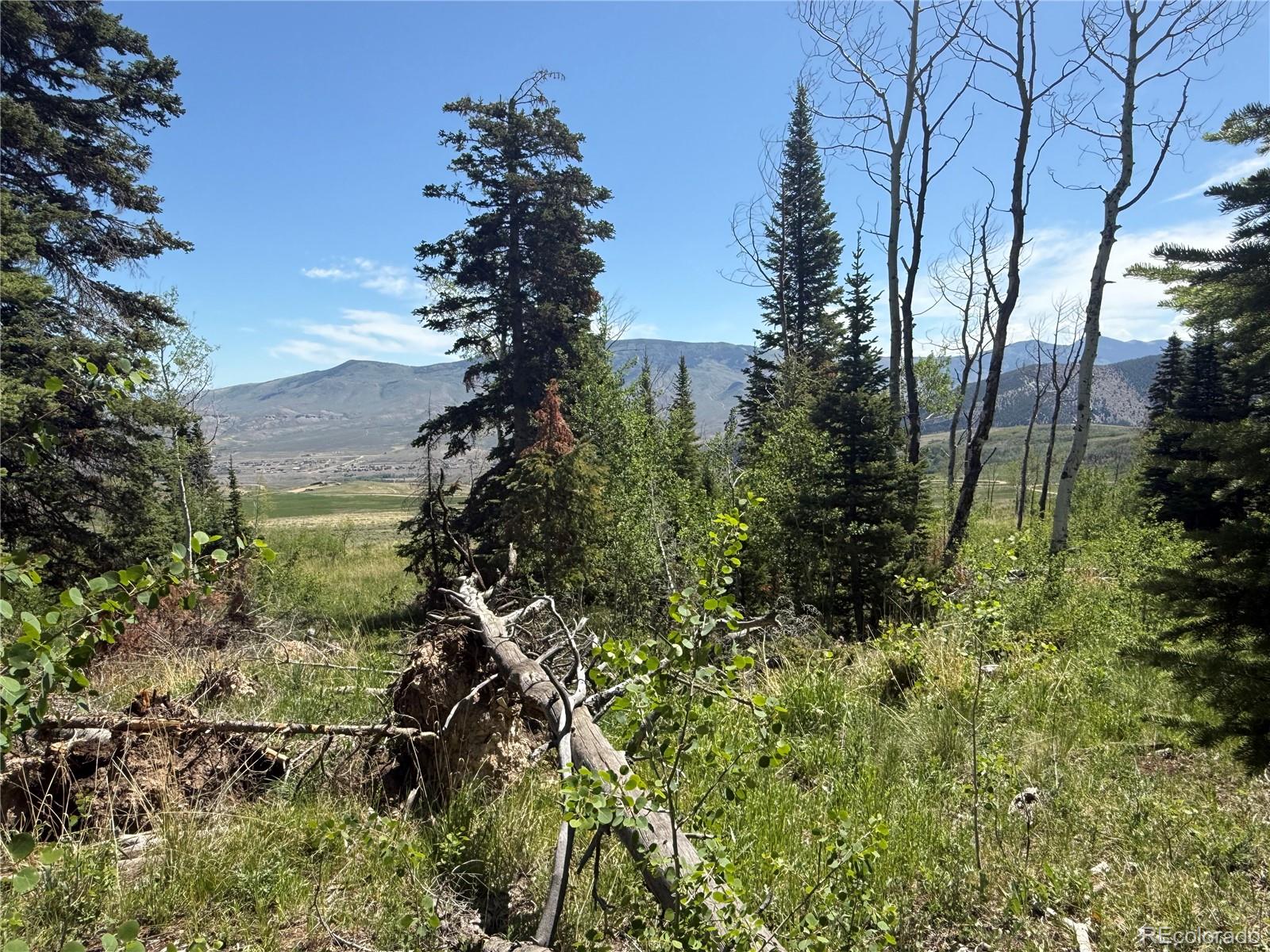 Spring Creek Ranch Road Silverthorne, CO 80498 - Photo 5 of 38