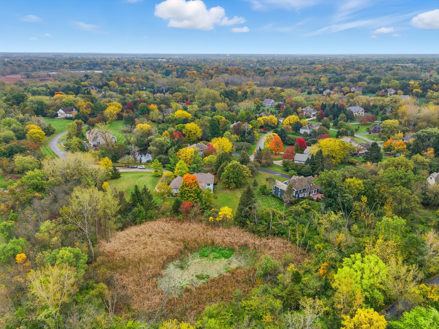 4420 Stonehaven Drive Long Grove, IL 60047 - Photo 55 of 59 an aerial view of residential houses with outdoor space and trees