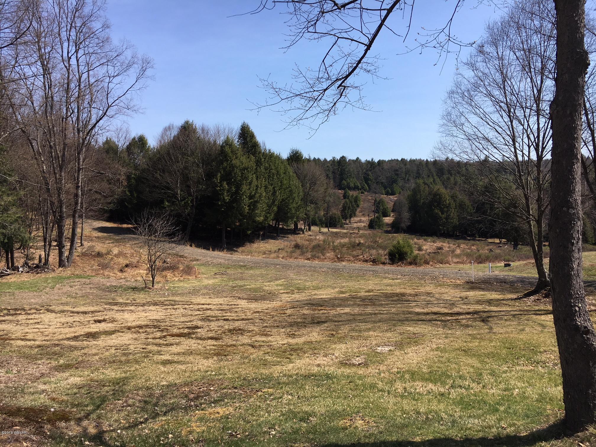 0 Buck Run Road Frenchville, PA 16836 - Photo 6 of 42 View 1 From porch
