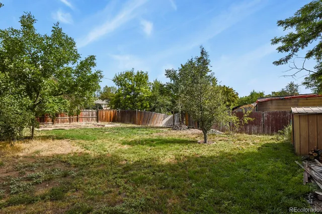 a backyard of apartments with large trees