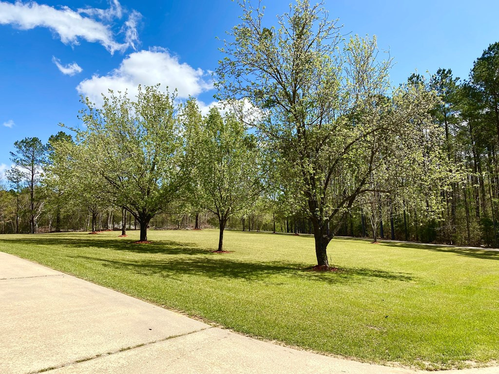 2180 Martin Road Summit, MS 39666 - Photo 35 of 36 Photo 35