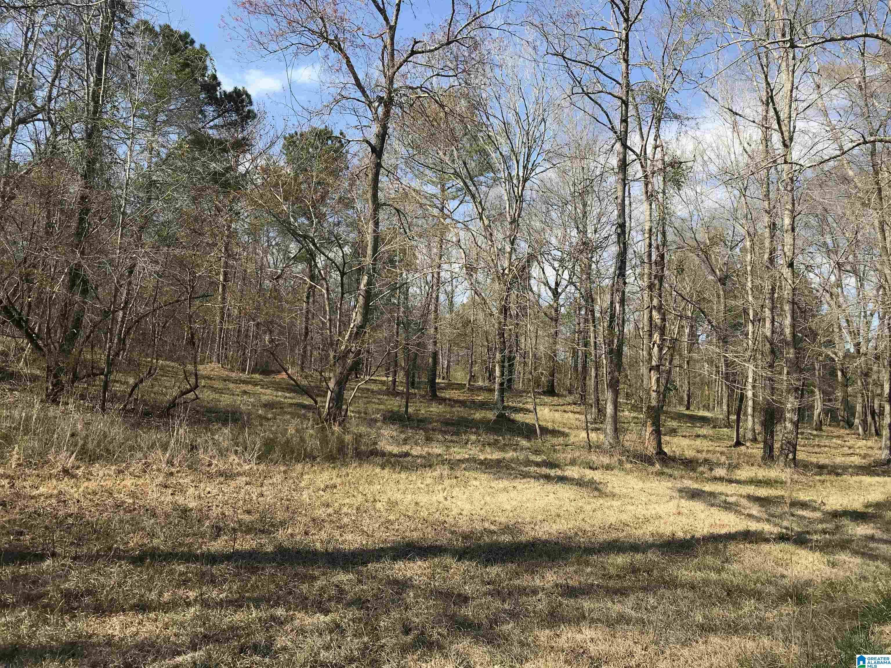 3 Chancellors Ferry Road, Unit 1 Harpersville, AL 35078 - Photo 7 of 14