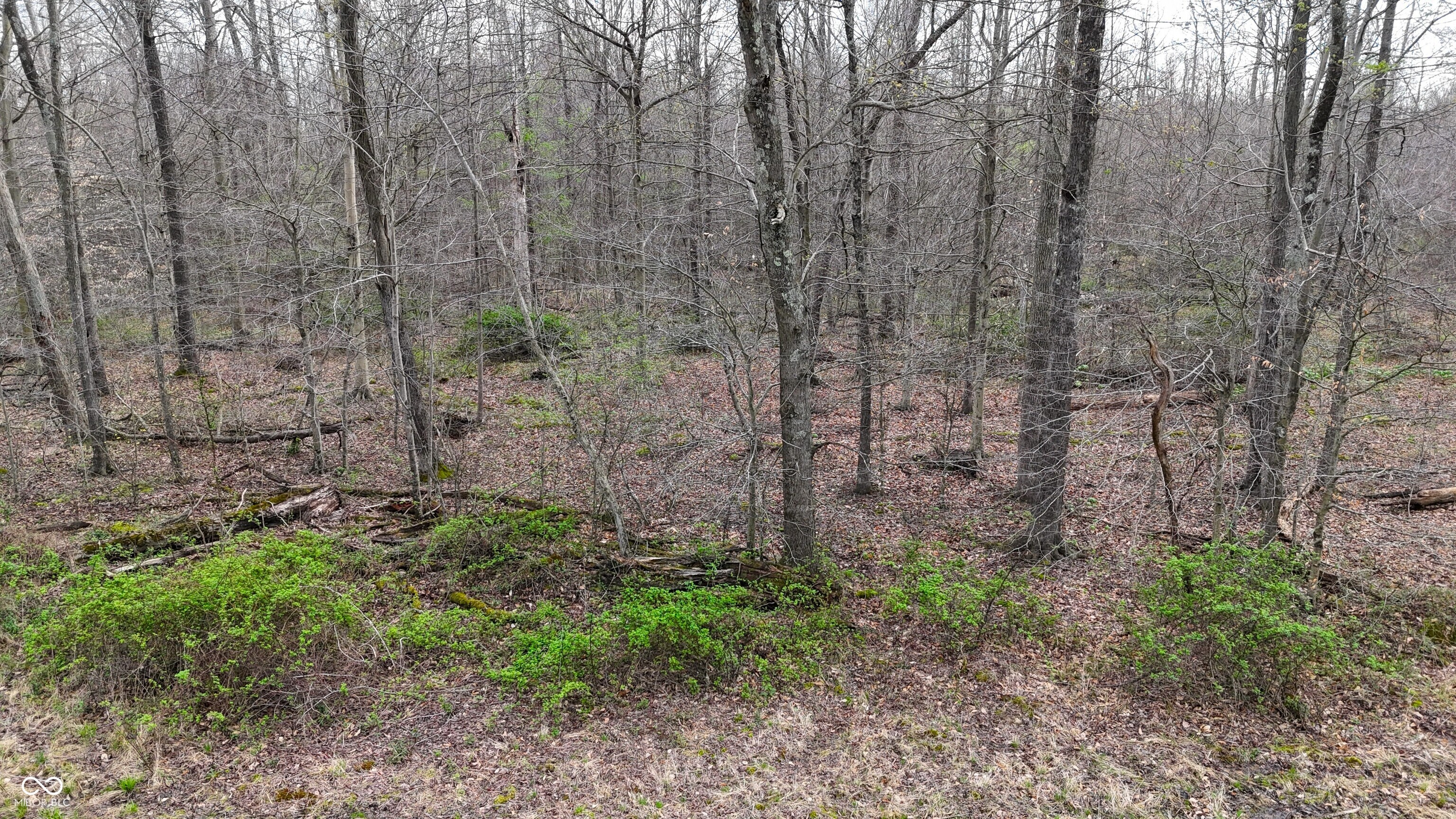 0 Blanton North Road Scottsburg, IN 47170 - Photo 12 of 59