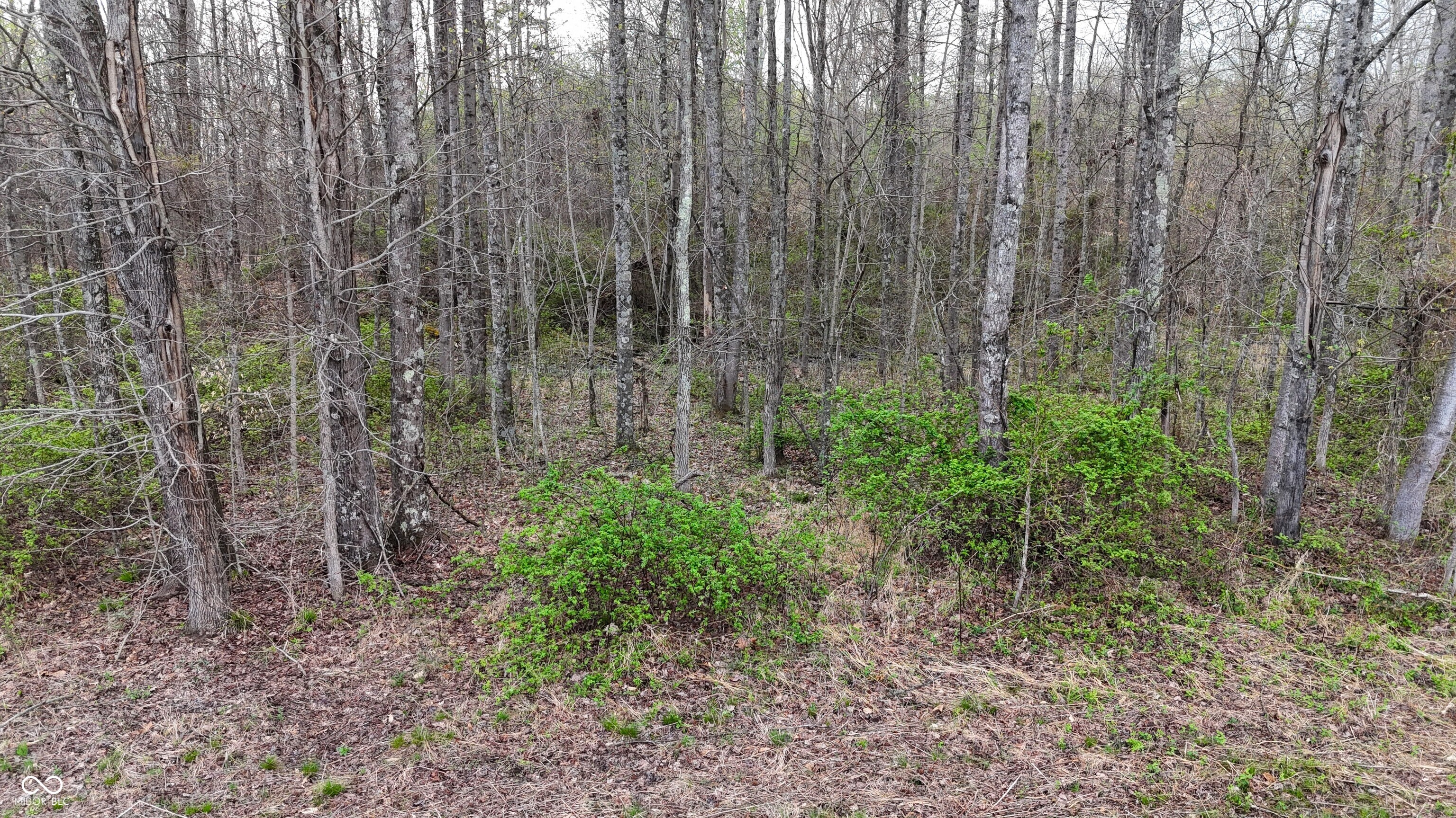 0 Blanton North Road Scottsburg, IN 47170 - Photo 13 of 59