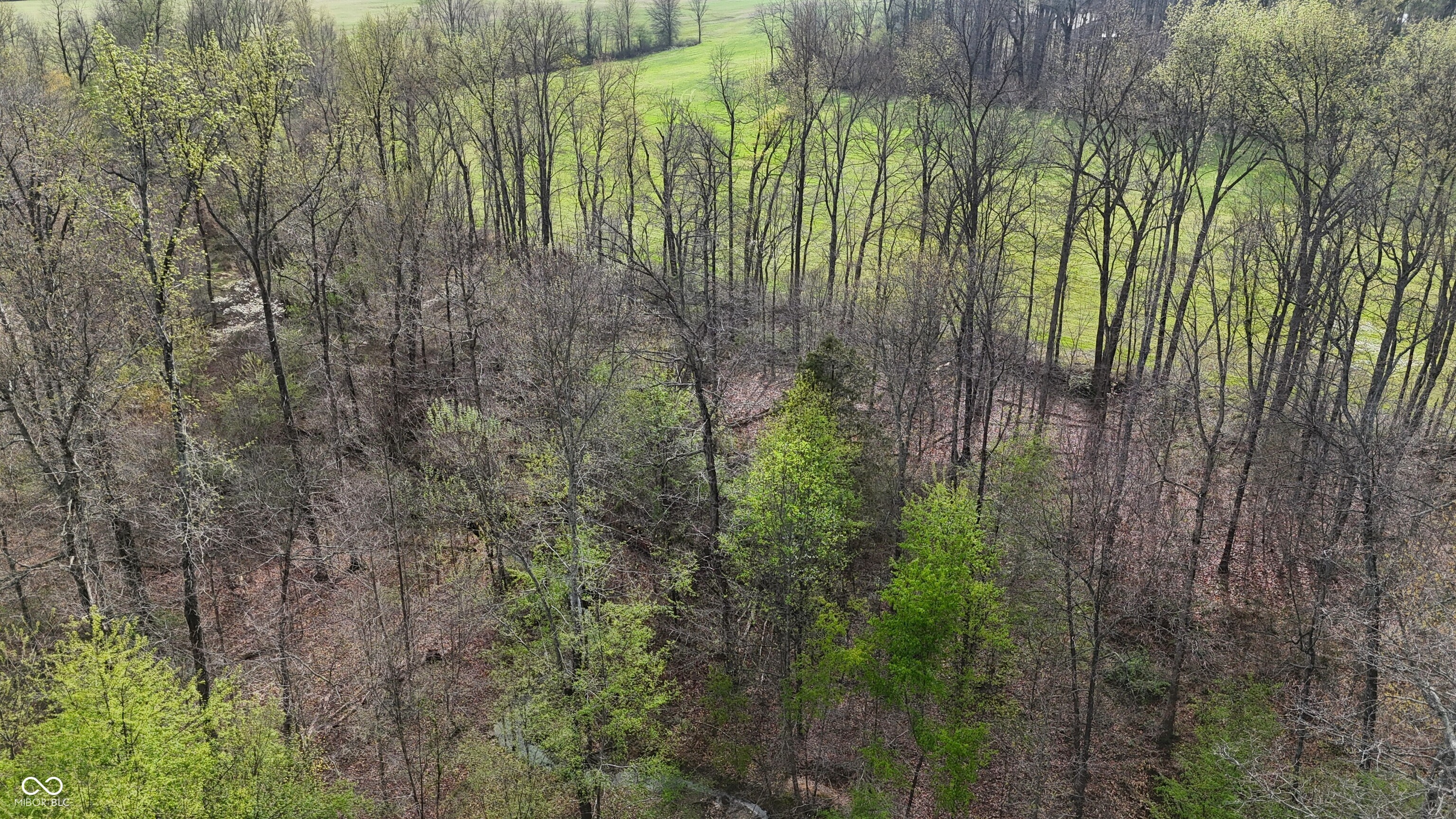 0 Blanton North Road Scottsburg, IN 47170 - Photo 14 of 59