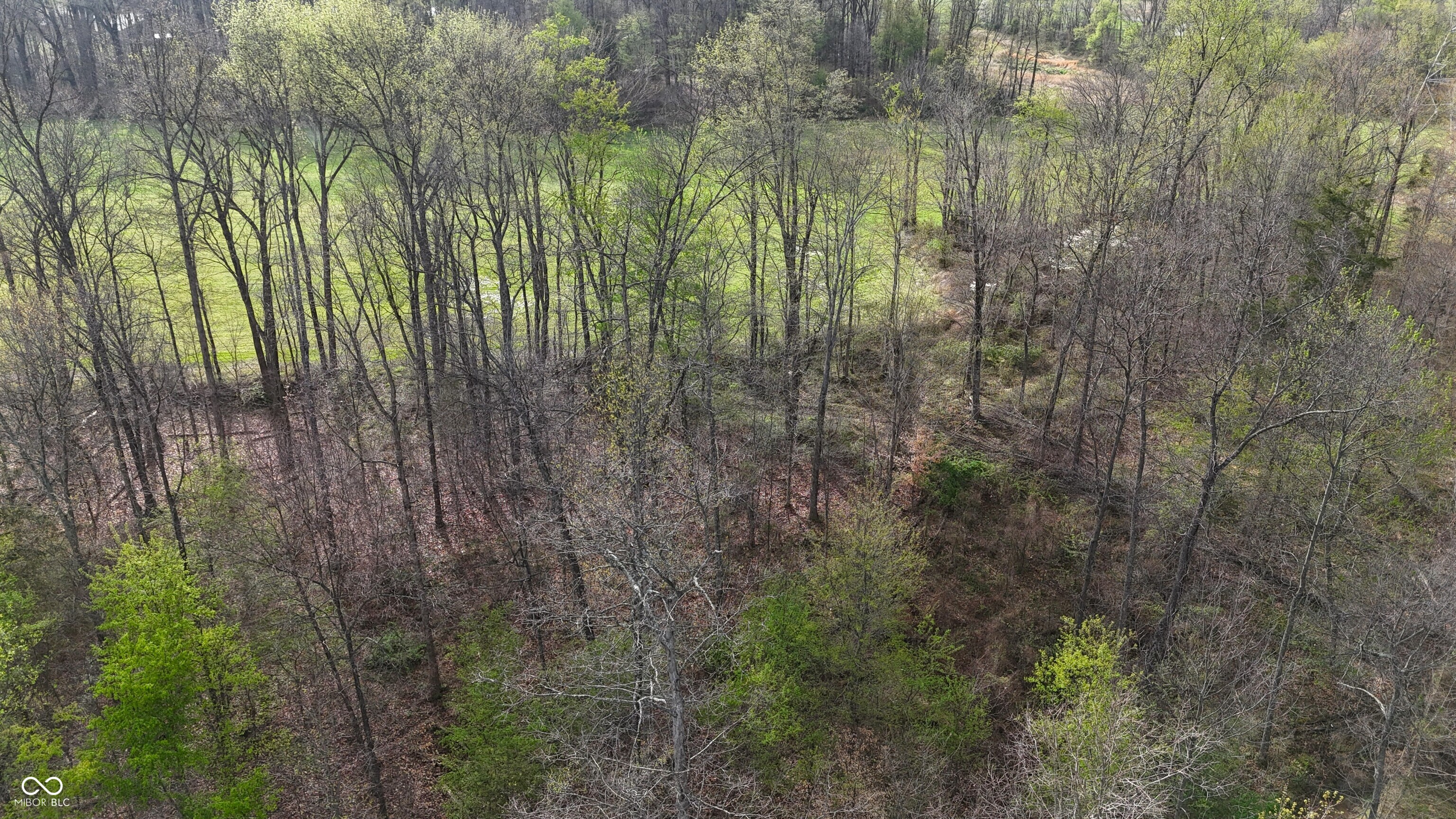 0 Blanton North Road Scottsburg, IN 47170 - Photo 15 of 59