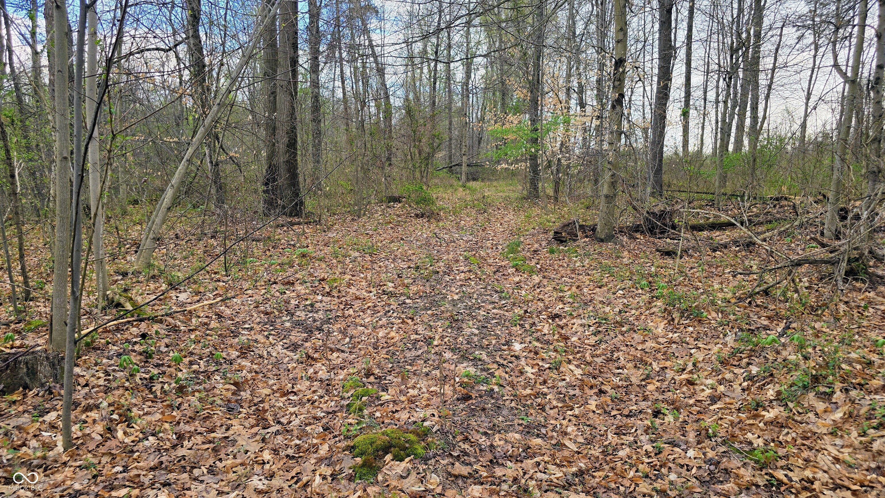 0 Blanton North Road Scottsburg, IN 47170 - Photo 16 of 59