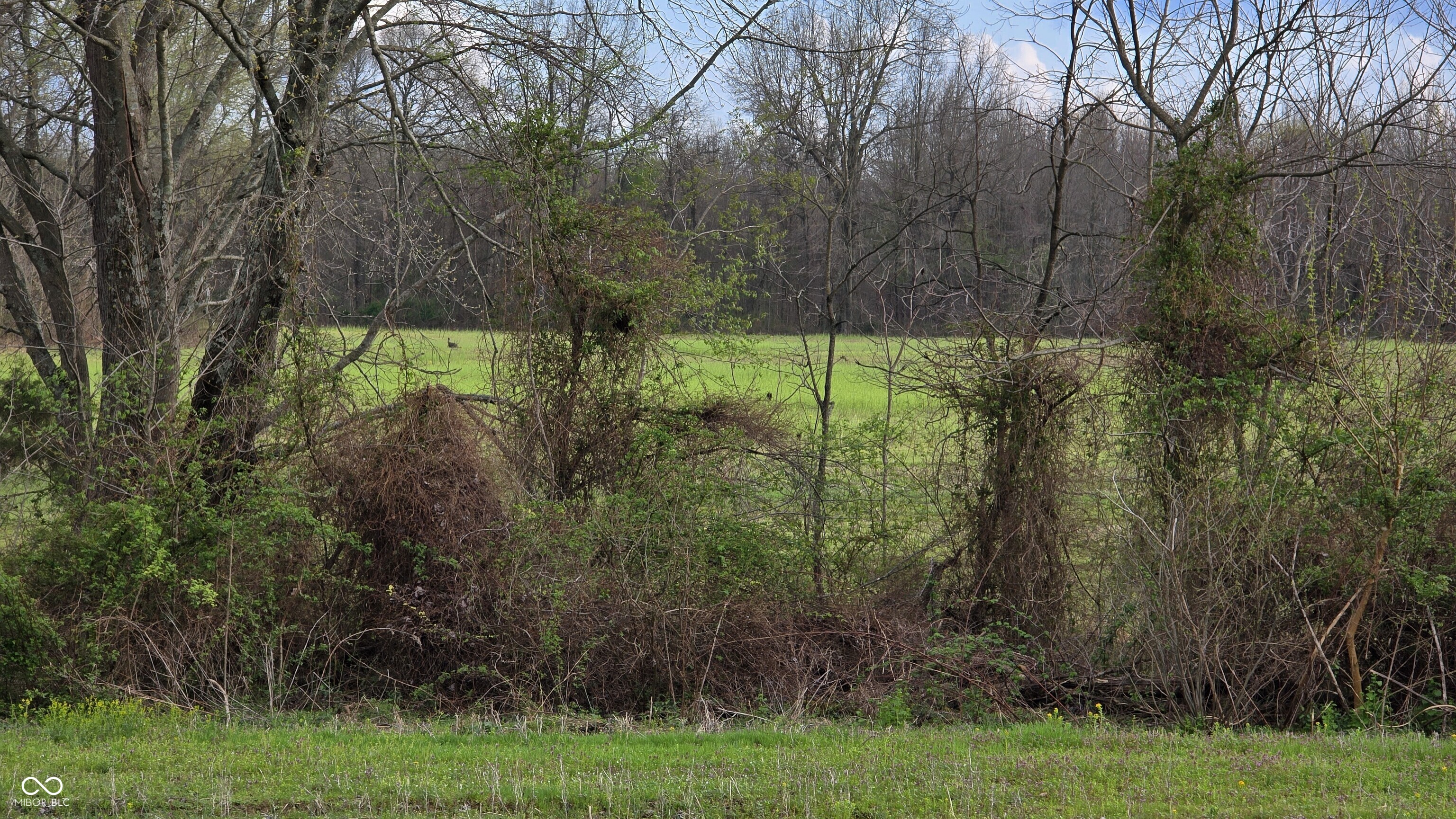 0 Blanton North Road Scottsburg, IN 47170 - Photo 18 of 59