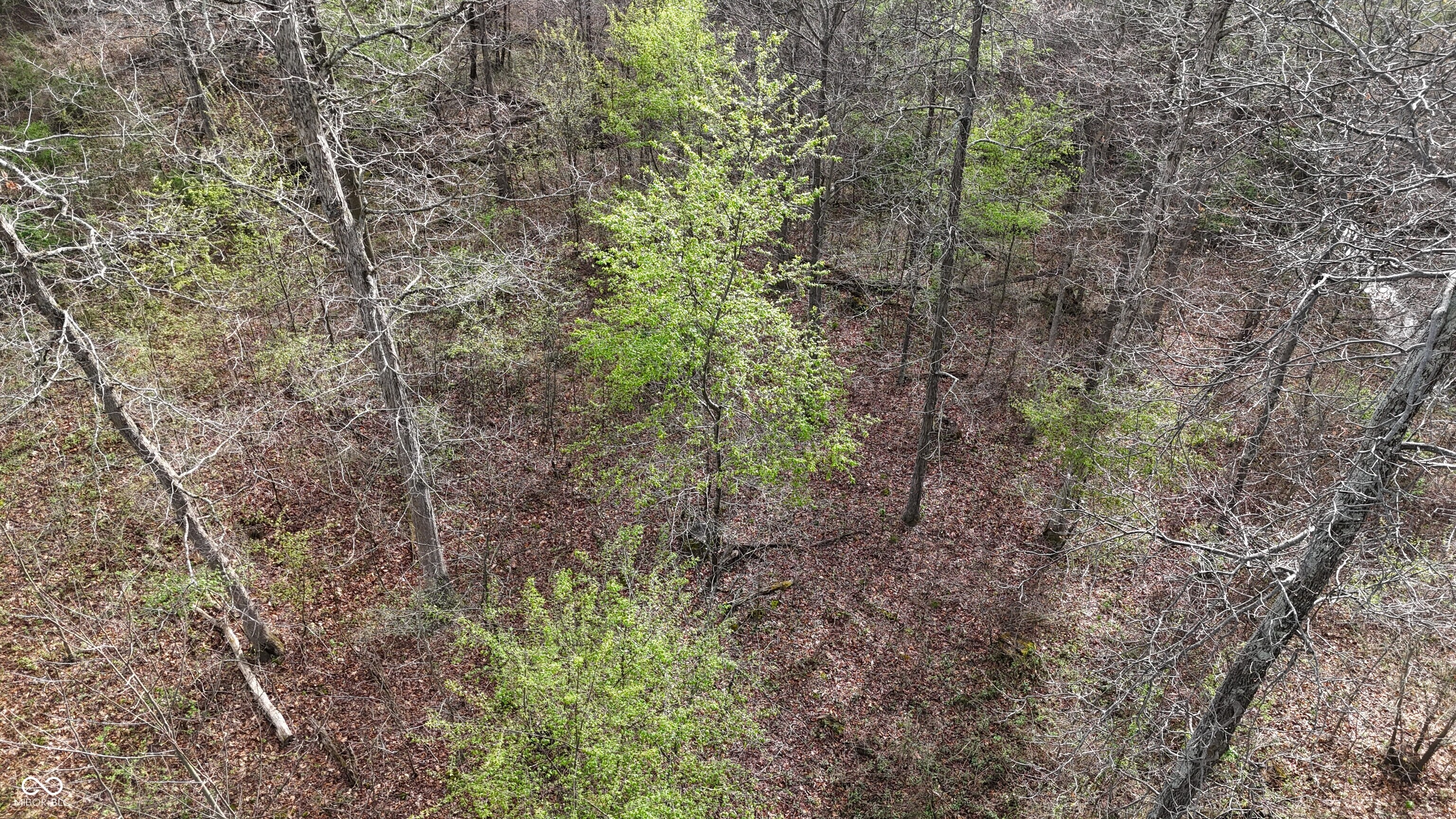 0 Blanton North Road Scottsburg, IN 47170 - Photo 43 of 59