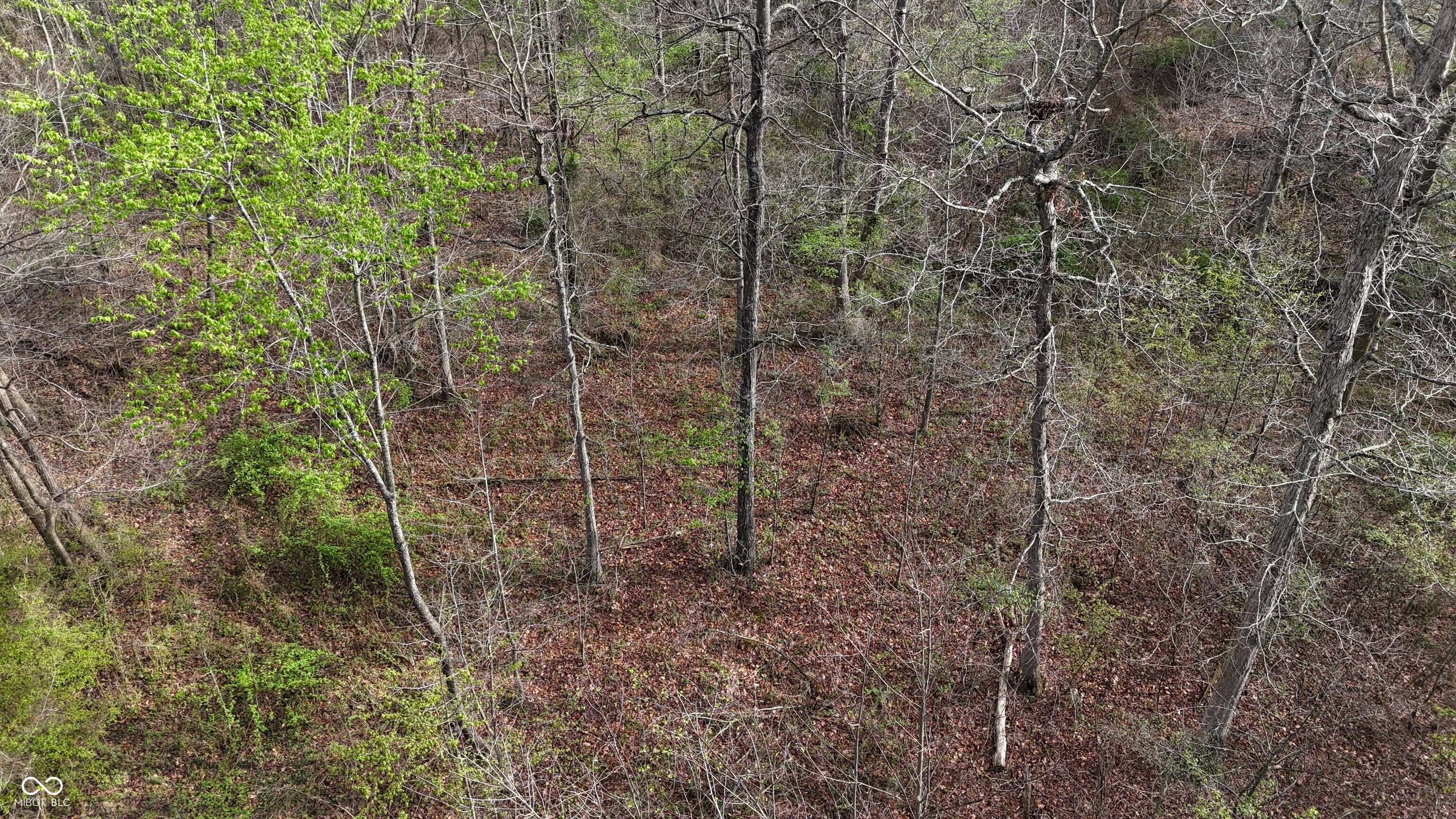 0 Blanton North Road Scottsburg, IN 47170 - Photo 44 of 59