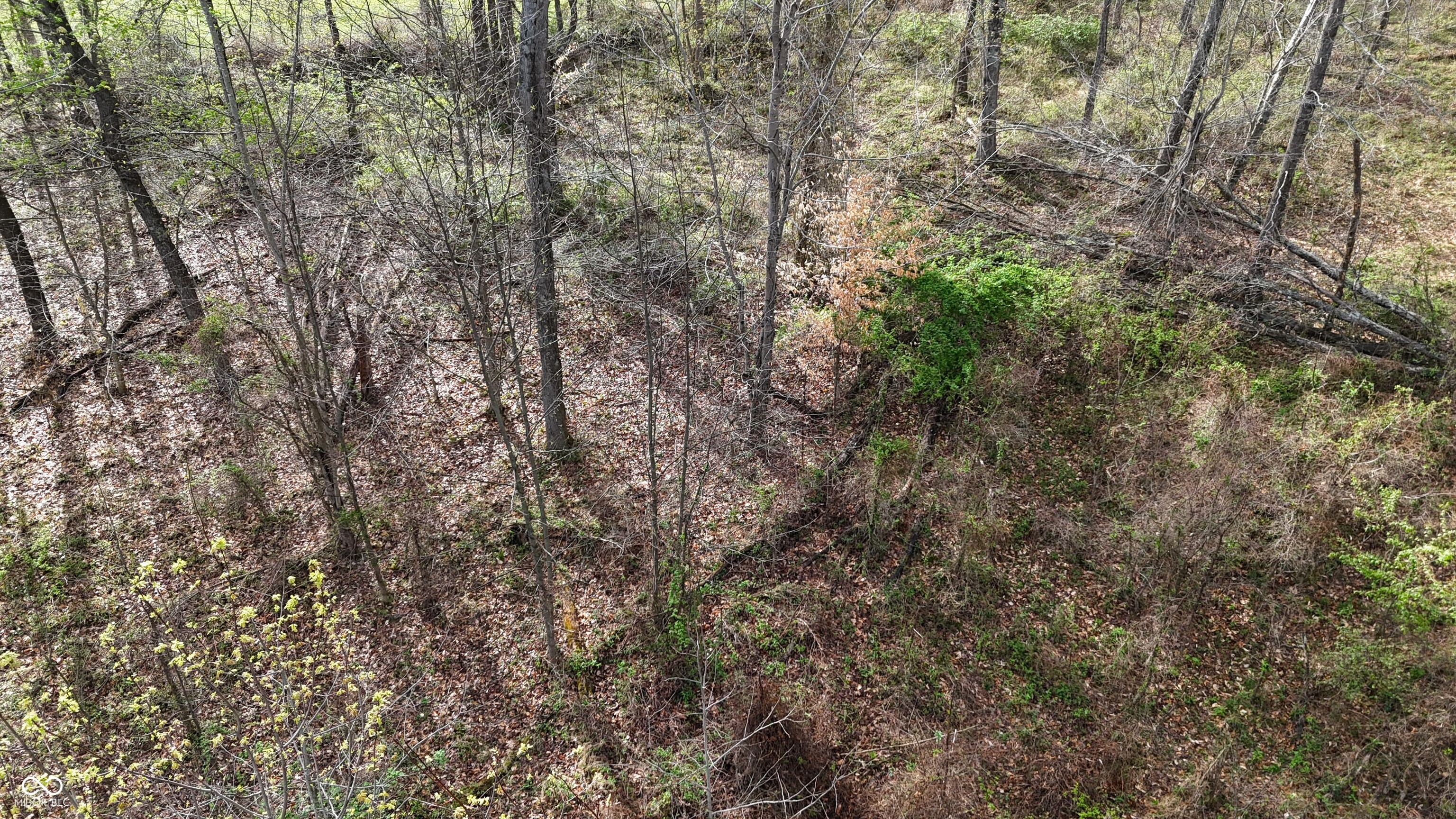 0 Blanton North Road Scottsburg, IN 47170 - Photo 45 of 59