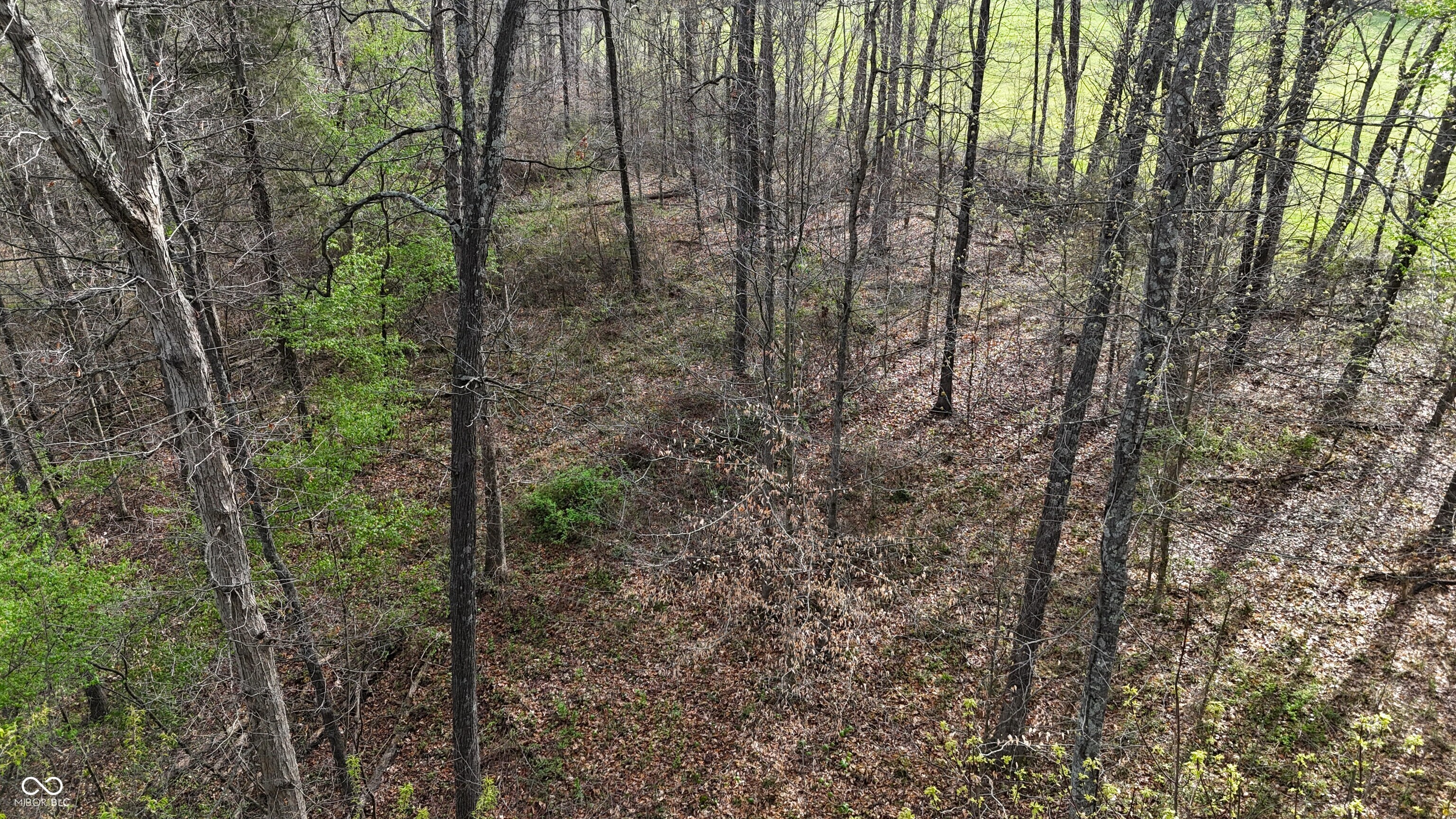 0 Blanton North Road Scottsburg, IN 47170 - Photo 46 of 59