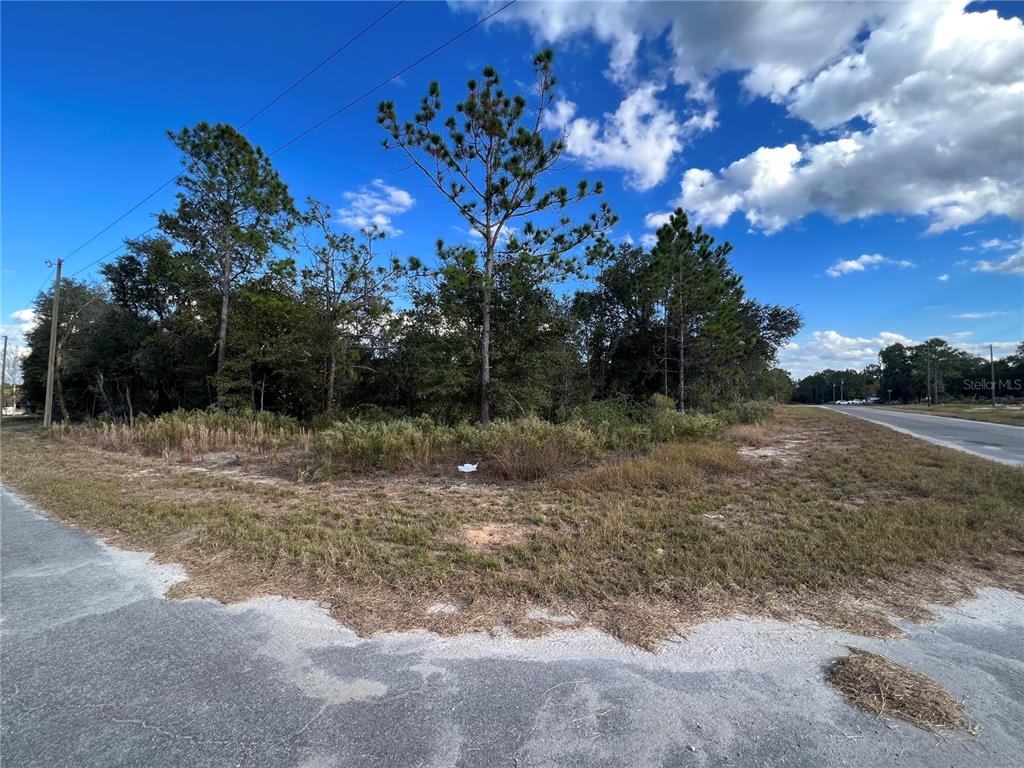 Tbd Malauka Loop Ocklawaha, FL 32179 - Photo 1 of 1