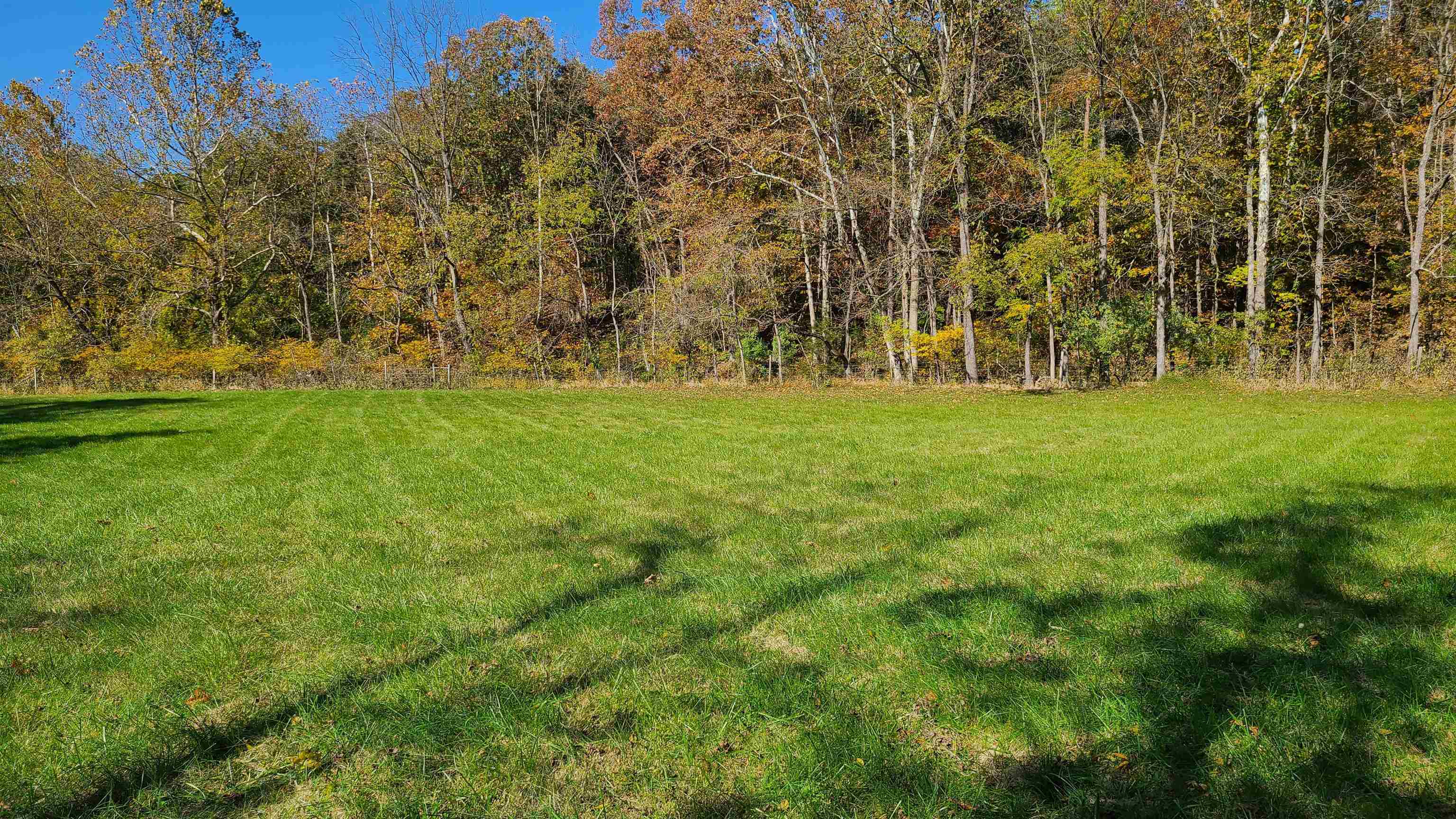 66-24b Barterbrook Road Staunton, VA 24401 - Photo 13 of 24 a view of field with trees