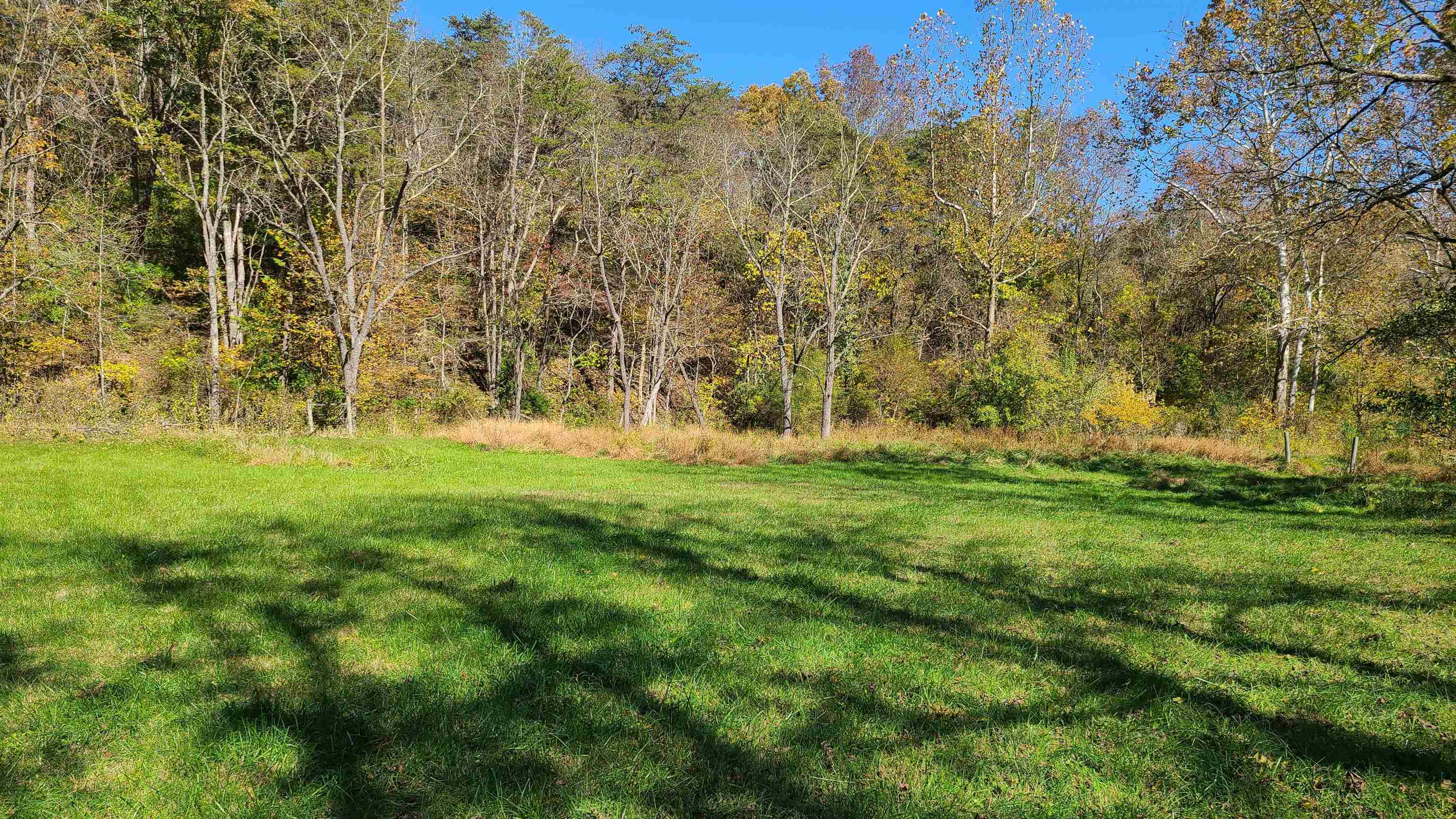 66-24b Barterbrook Road Staunton, VA 24401 - Photo 14 of 24 a view of grassy field with trees