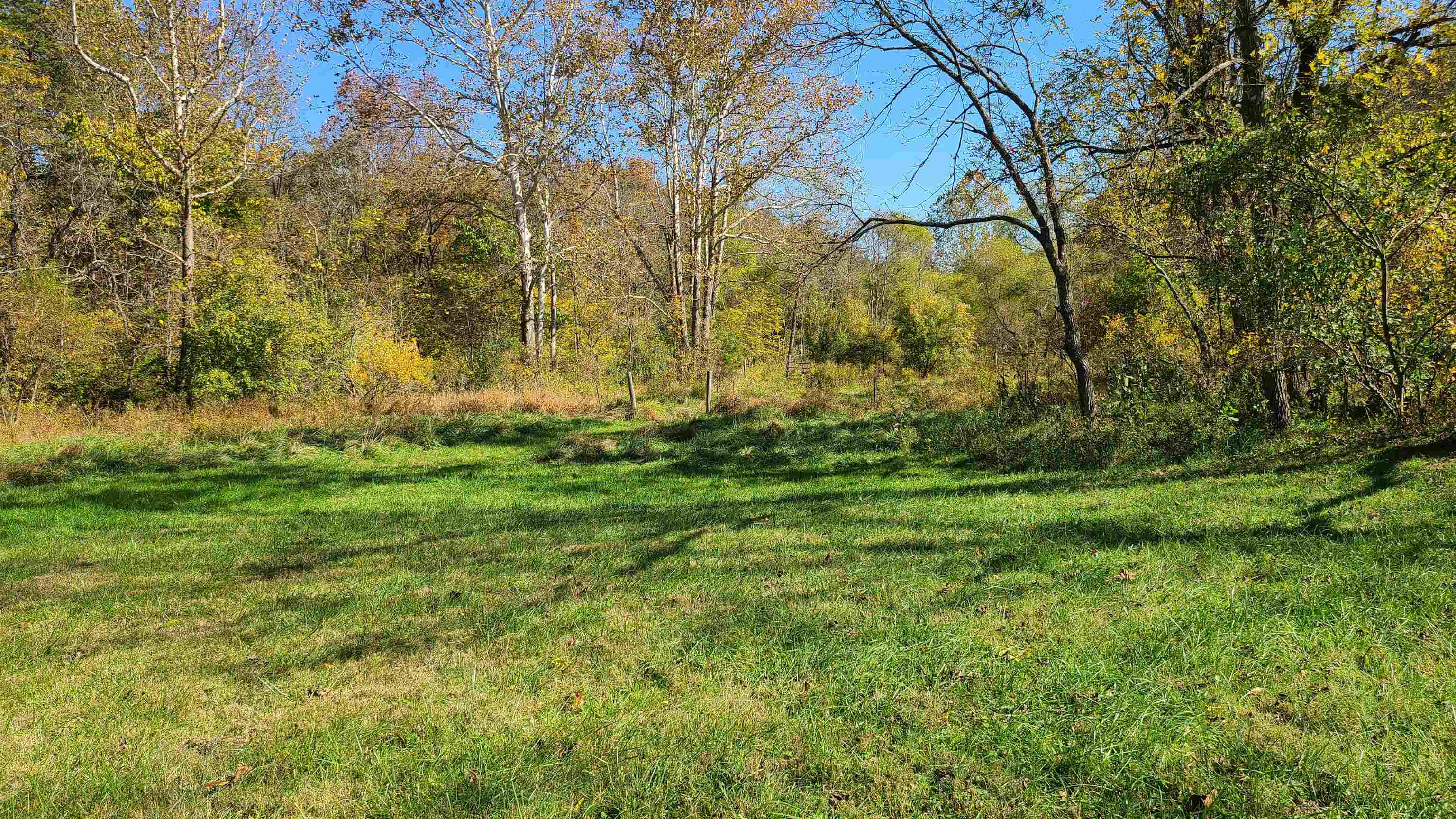 66-24b Barterbrook Road Staunton, VA 24401 - Photo 17 of 24 a view of backyard with green space