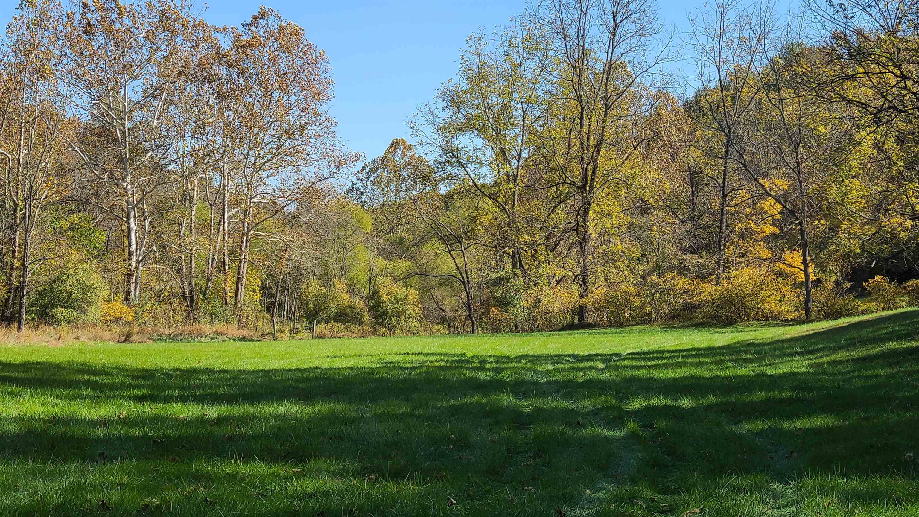66-24b Barterbrook Road Staunton, VA 24401 - Photo 18 of 24 a green field with trees in the background