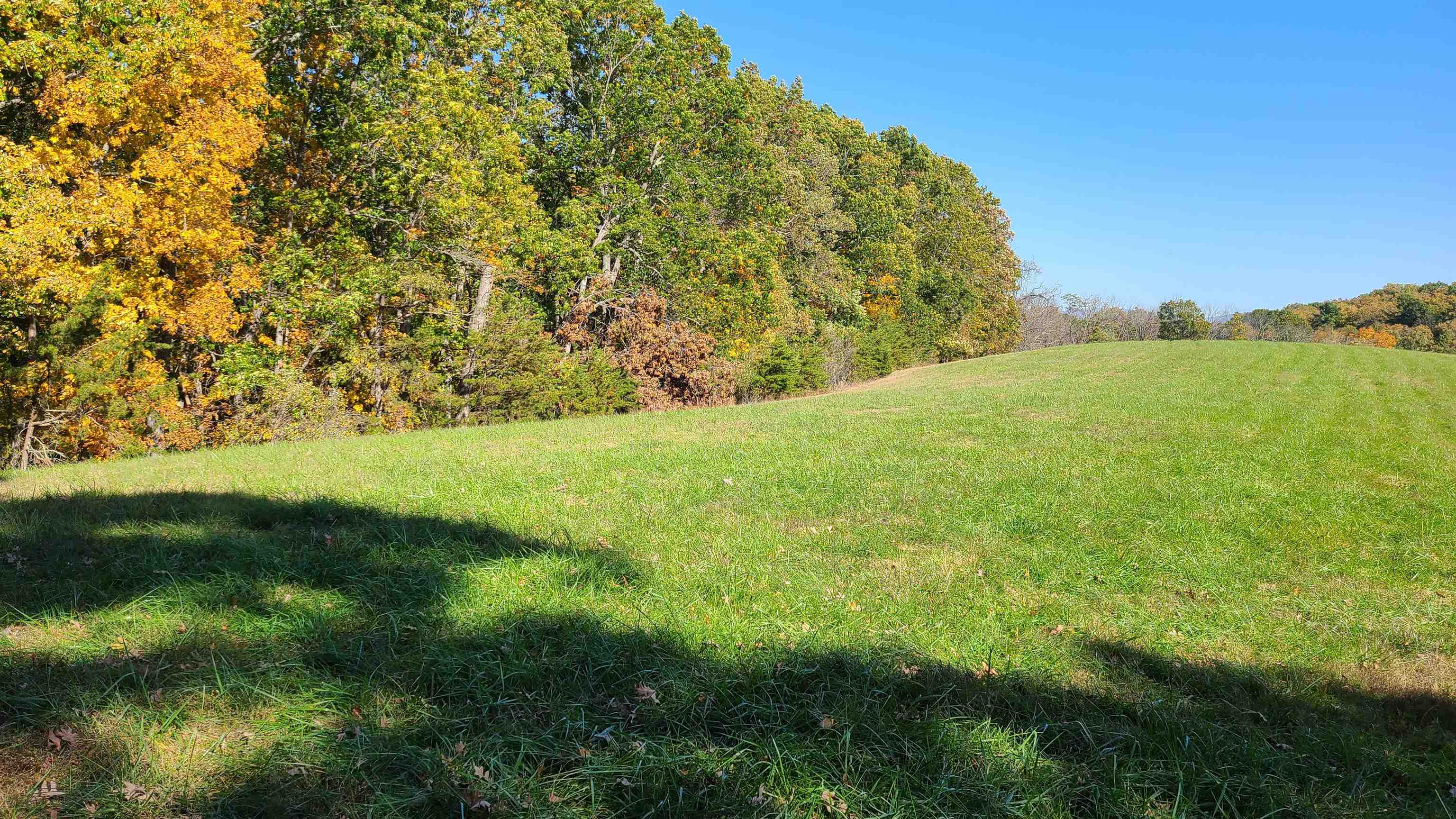 66-24b Barterbrook Road Staunton, VA 24401 - Photo 3 of 24 a view of yard with green space