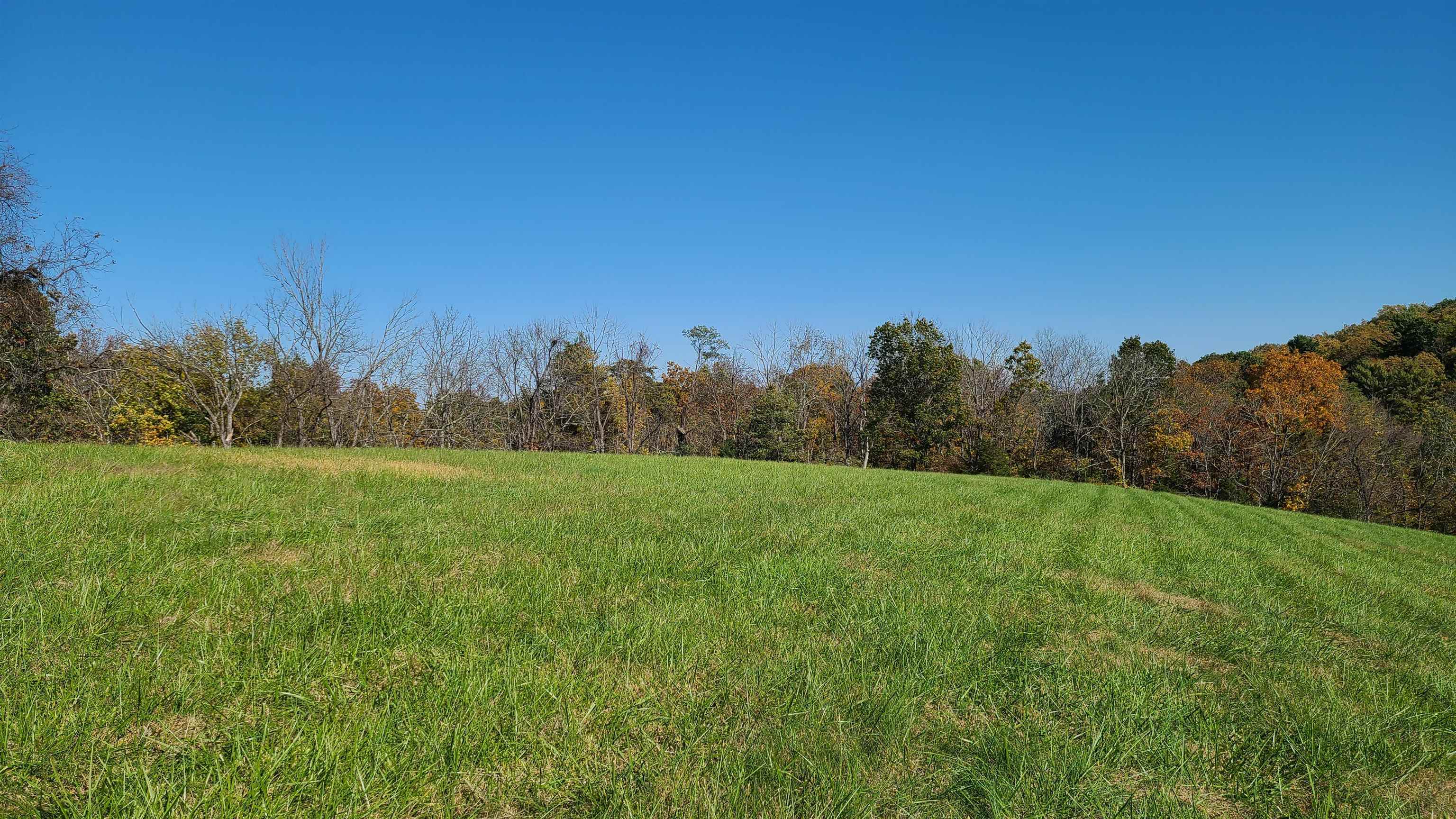 66-24b Barterbrook Road Staunton, VA 24401 - Photo 4 of 24 a view of a grassy field with trees