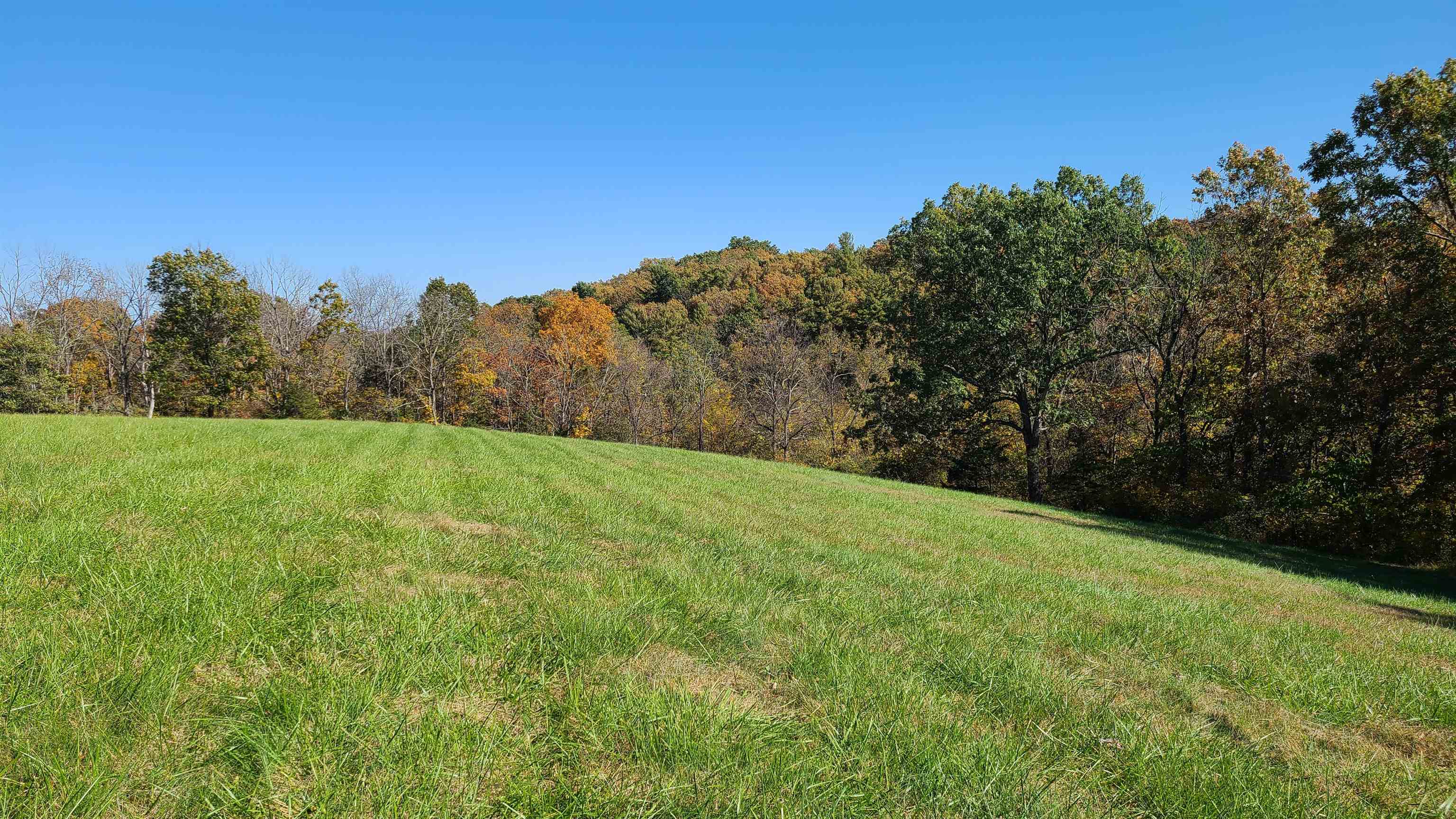 66-24b Barterbrook Road Staunton, VA 24401 - Photo 5 of 24 a view of a grassy field with trees in the background