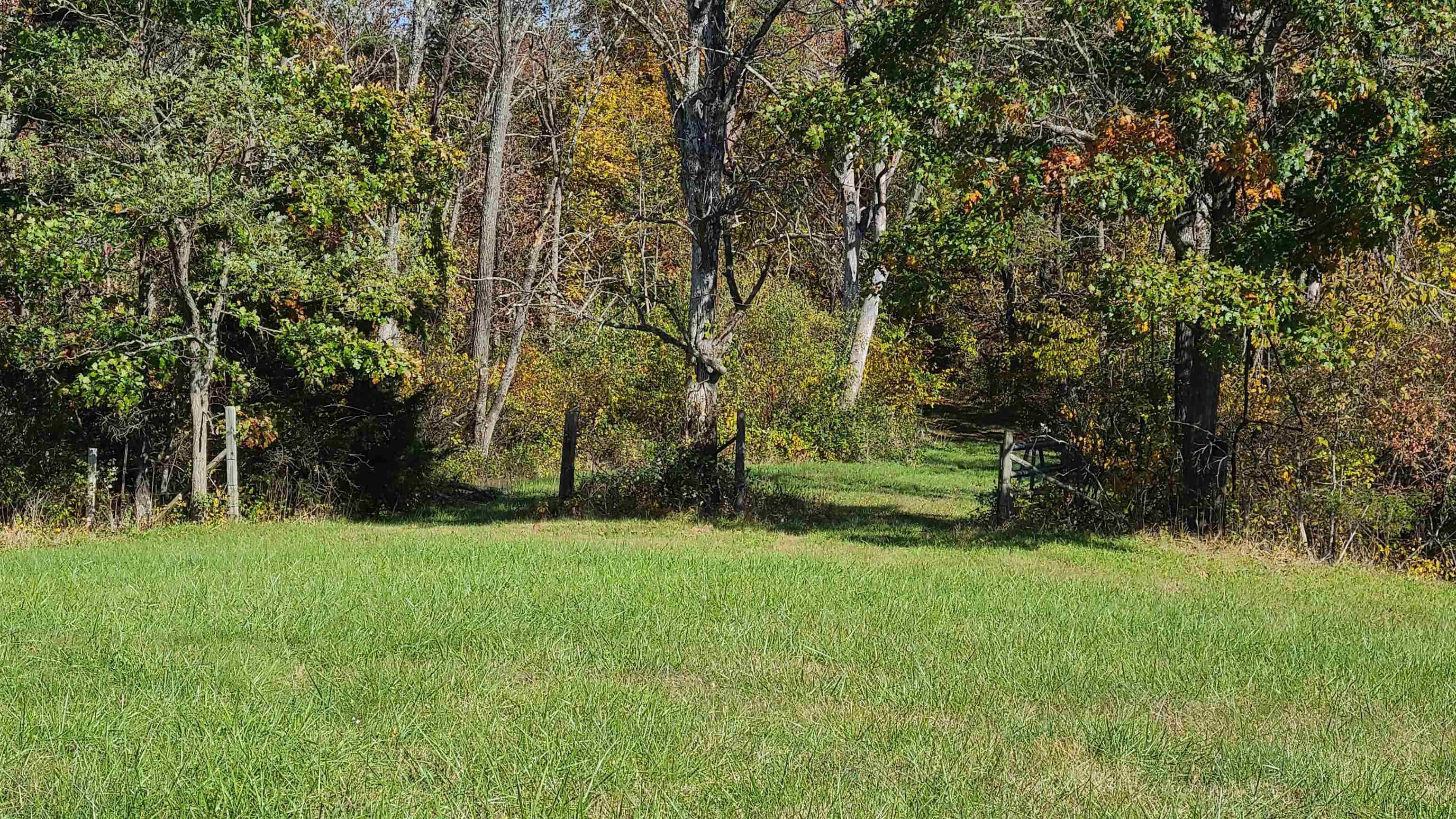66-24b Barterbrook Road Staunton, VA 24401 - Photo 6 of 24 a view of field with trees