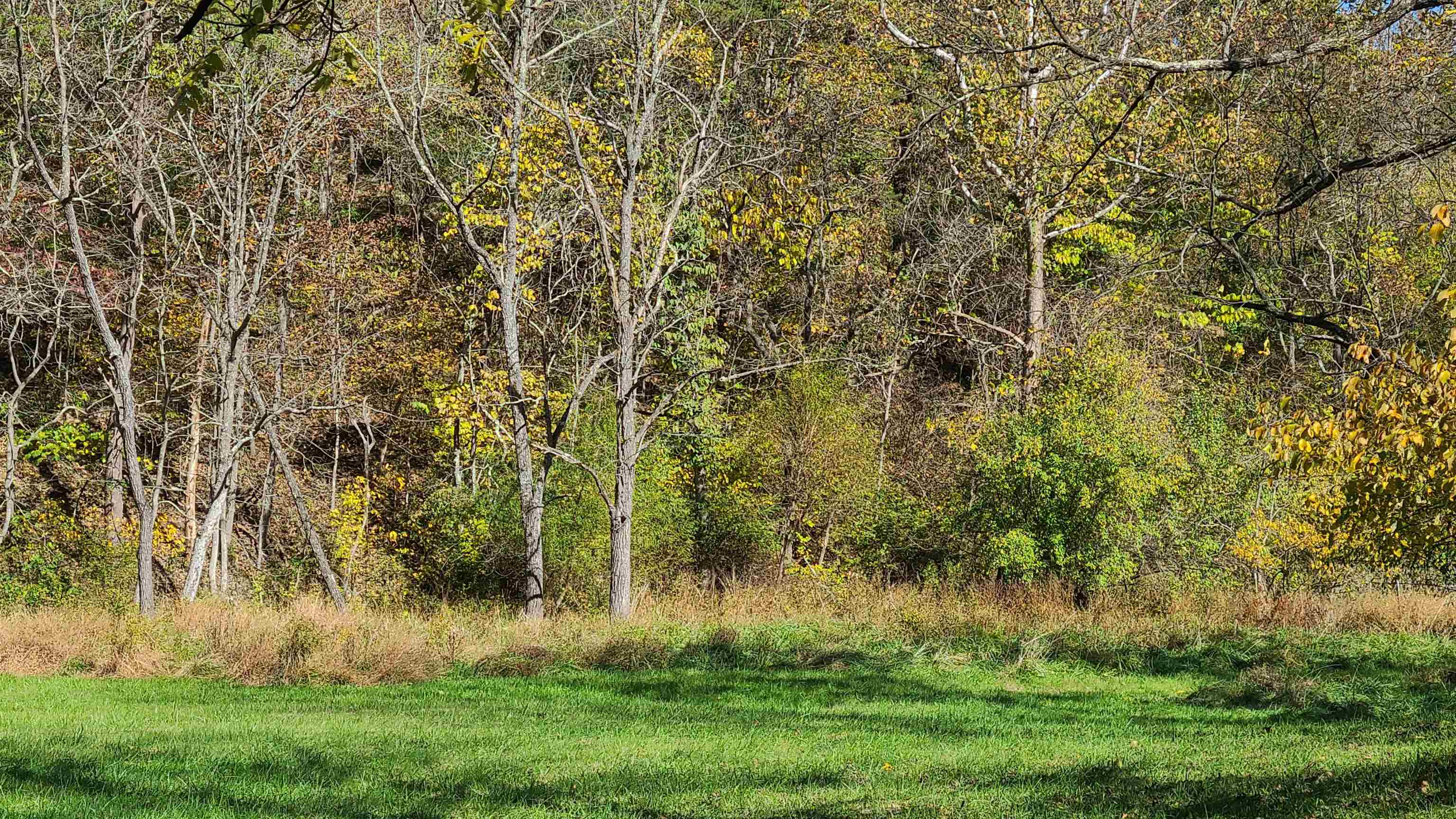66-24b Barterbrook Road Staunton, VA 24401 - Photo 7 of 24 a view of a yard