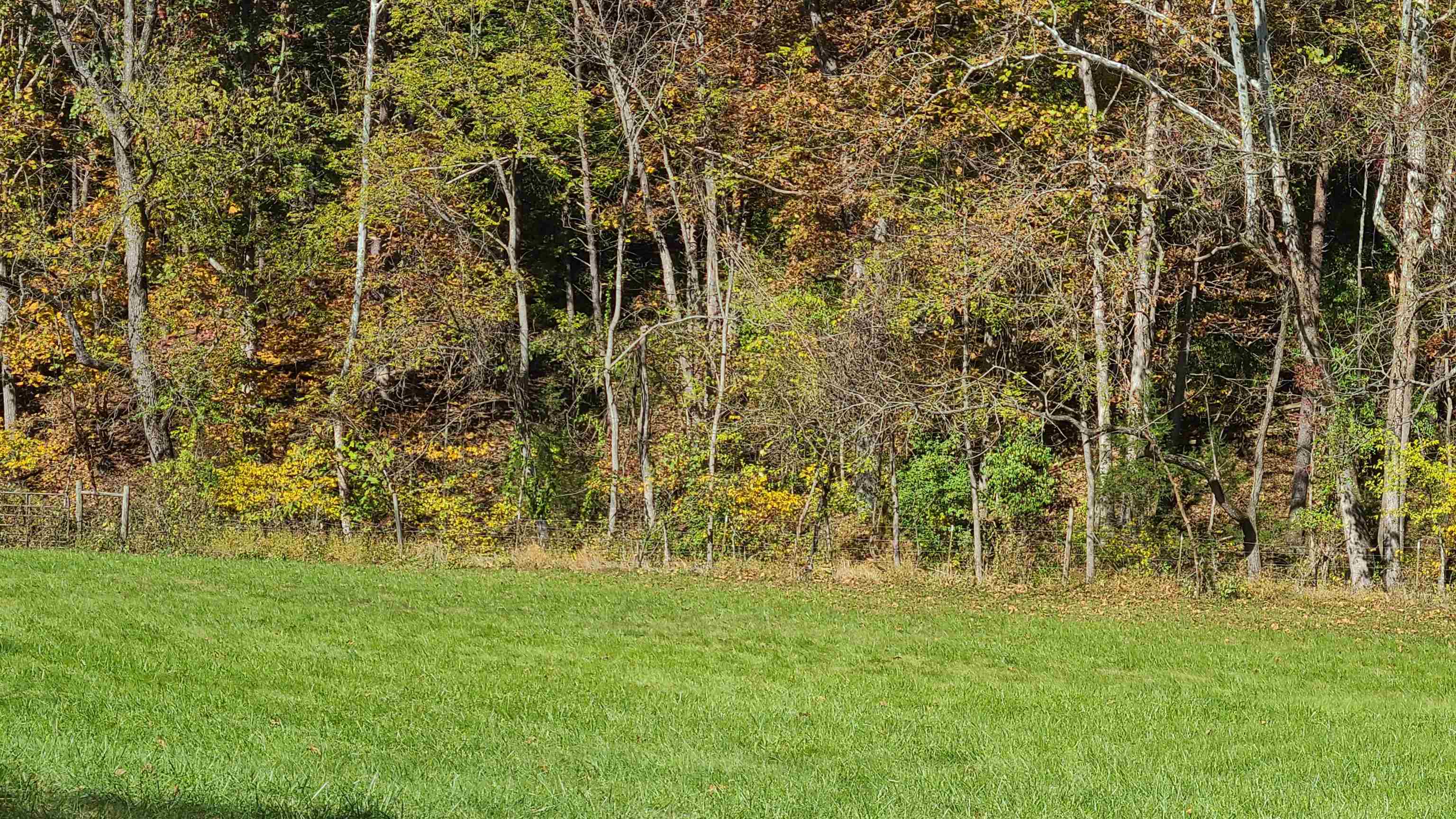 66-24b Barterbrook Road Staunton, VA 24401 - Photo 8 of 24 a view of outdoor space with a garden