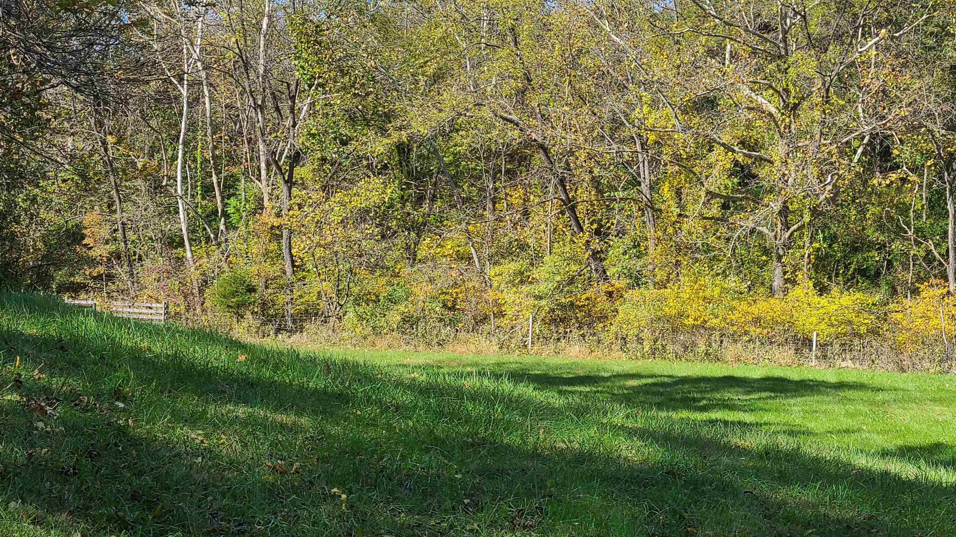 66-24b Barterbrook Road Staunton, VA 24401 - Photo 9 of 24 a view of yard with green space