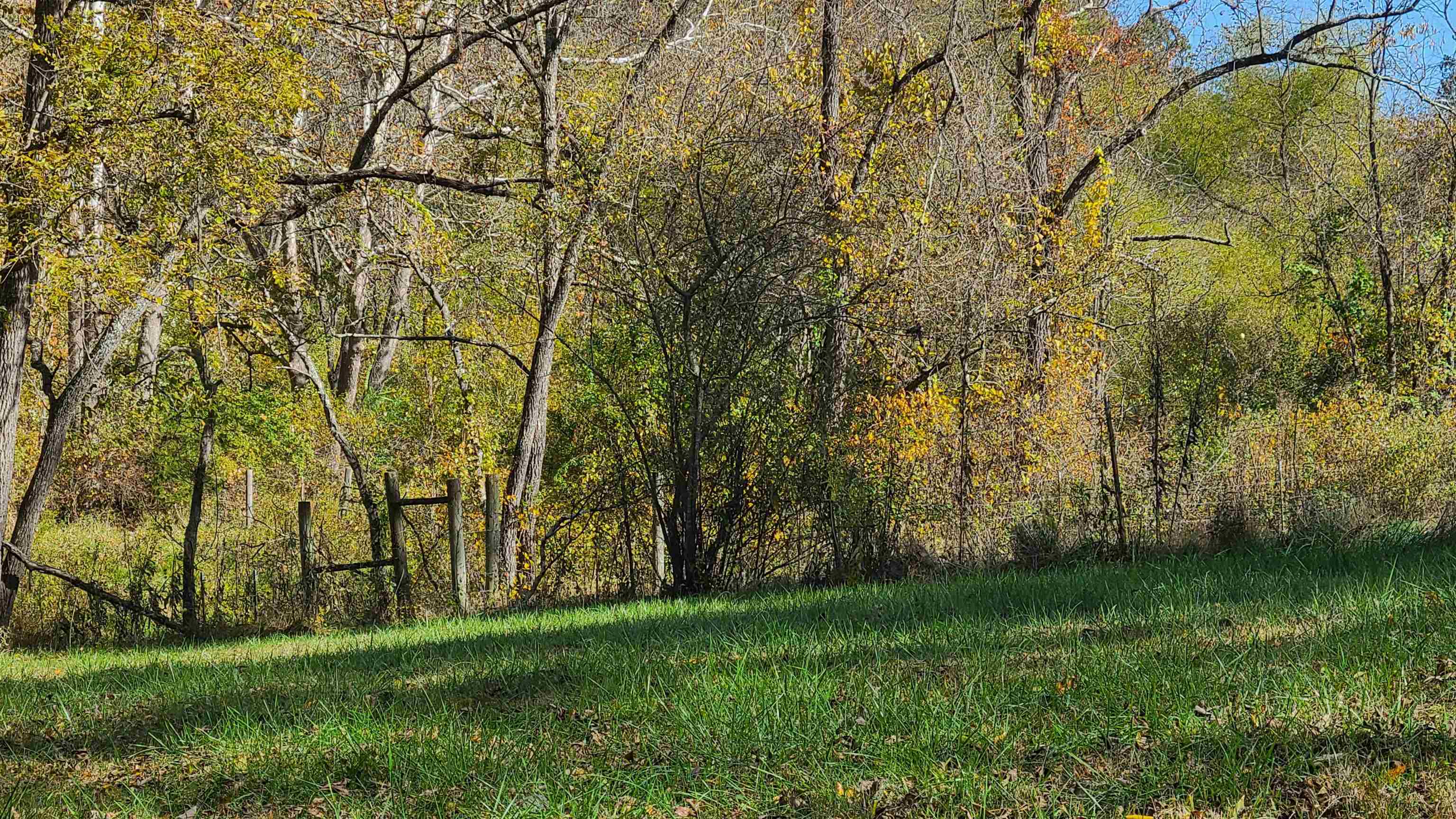 66-24b Barterbrook Road Staunton, VA 24401 - Photo 10 of 24 a view of yard with green space