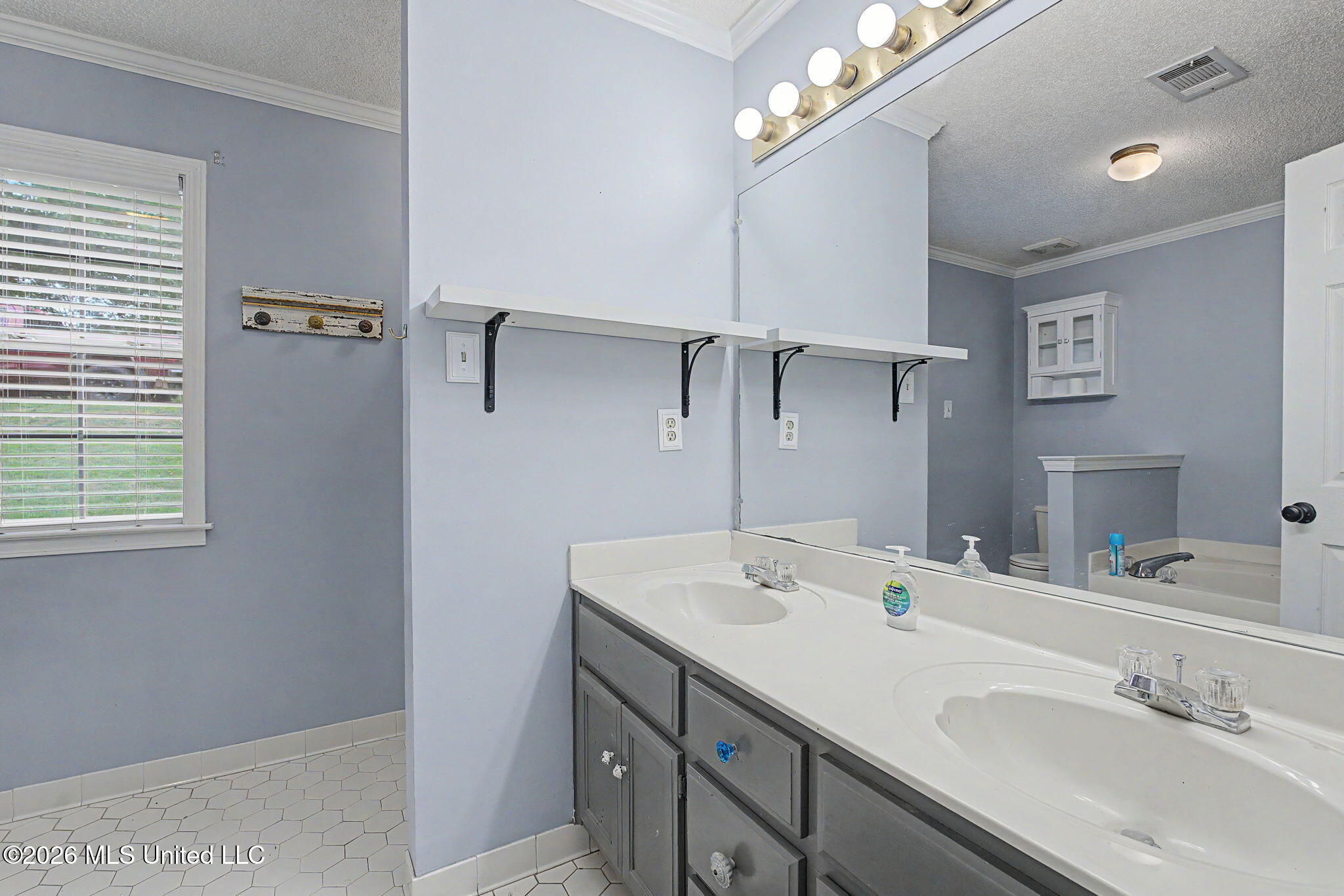 4310 Windermere Drive Nesbit, MS 38651 - Photo 19 of 42 Bathroom
