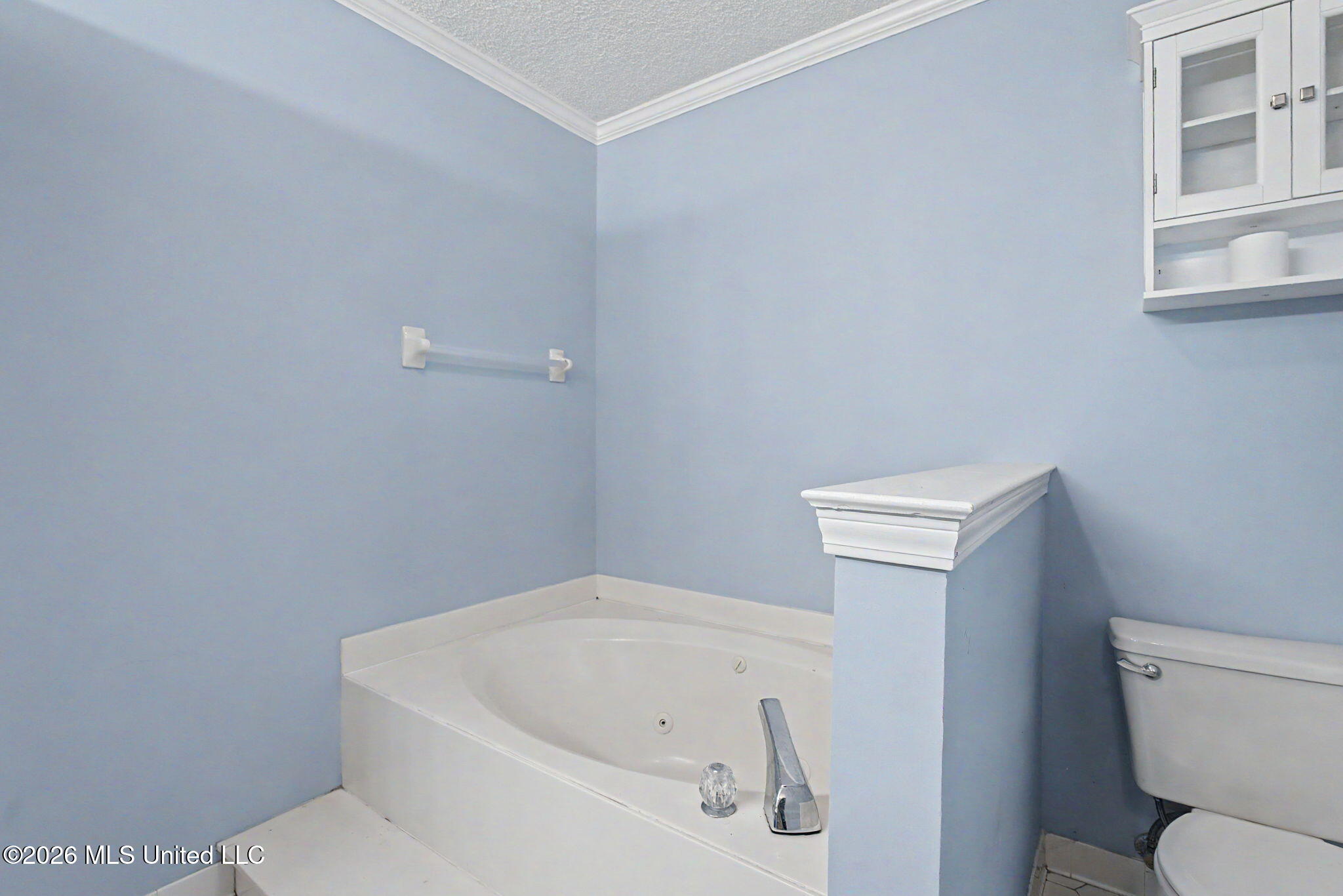 4310 Windermere Drive Nesbit, MS 38651 - Photo 20 of 42 Bathroom