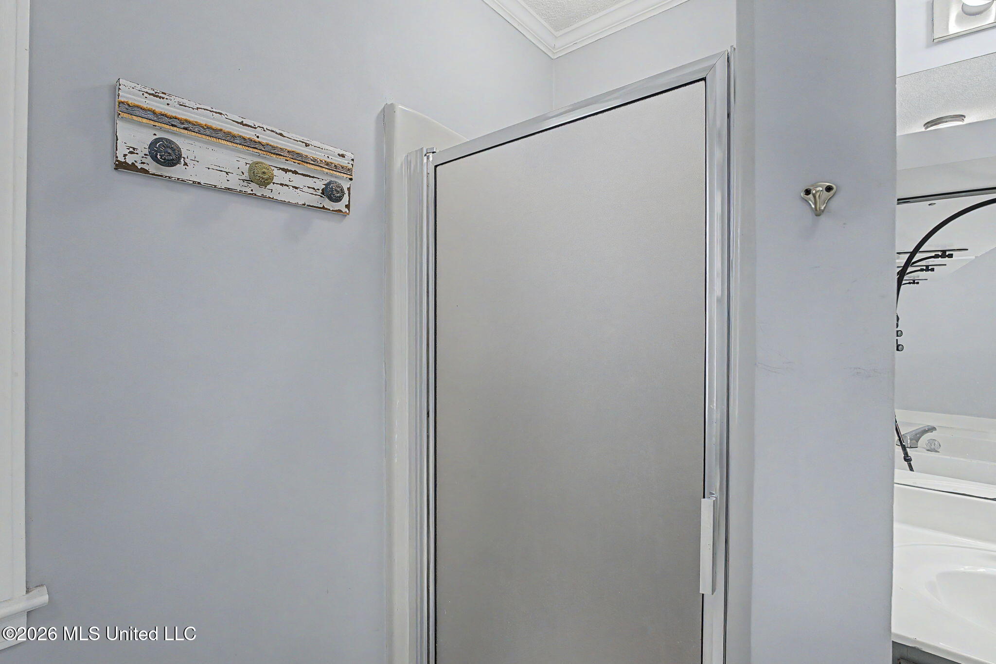 4310 Windermere Drive Nesbit, MS 38651 - Photo 21 of 42 Separate shower