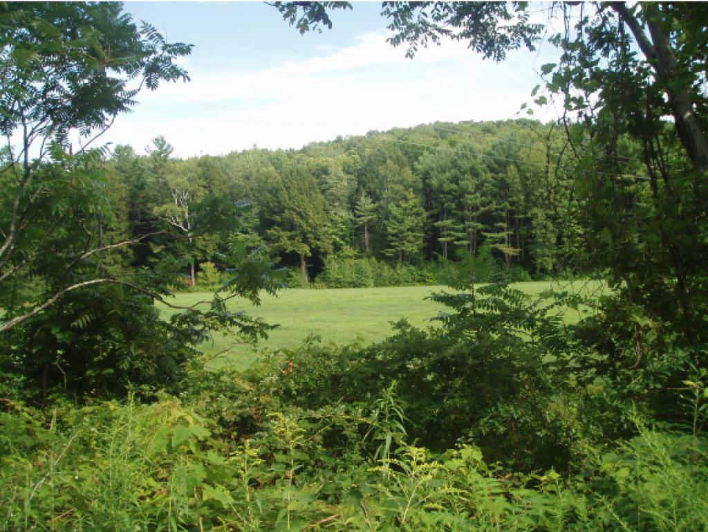 0 Wheeler Rand Road, Unit LOT 2 Charlestown, NH 03603 - Photo 1 of 1