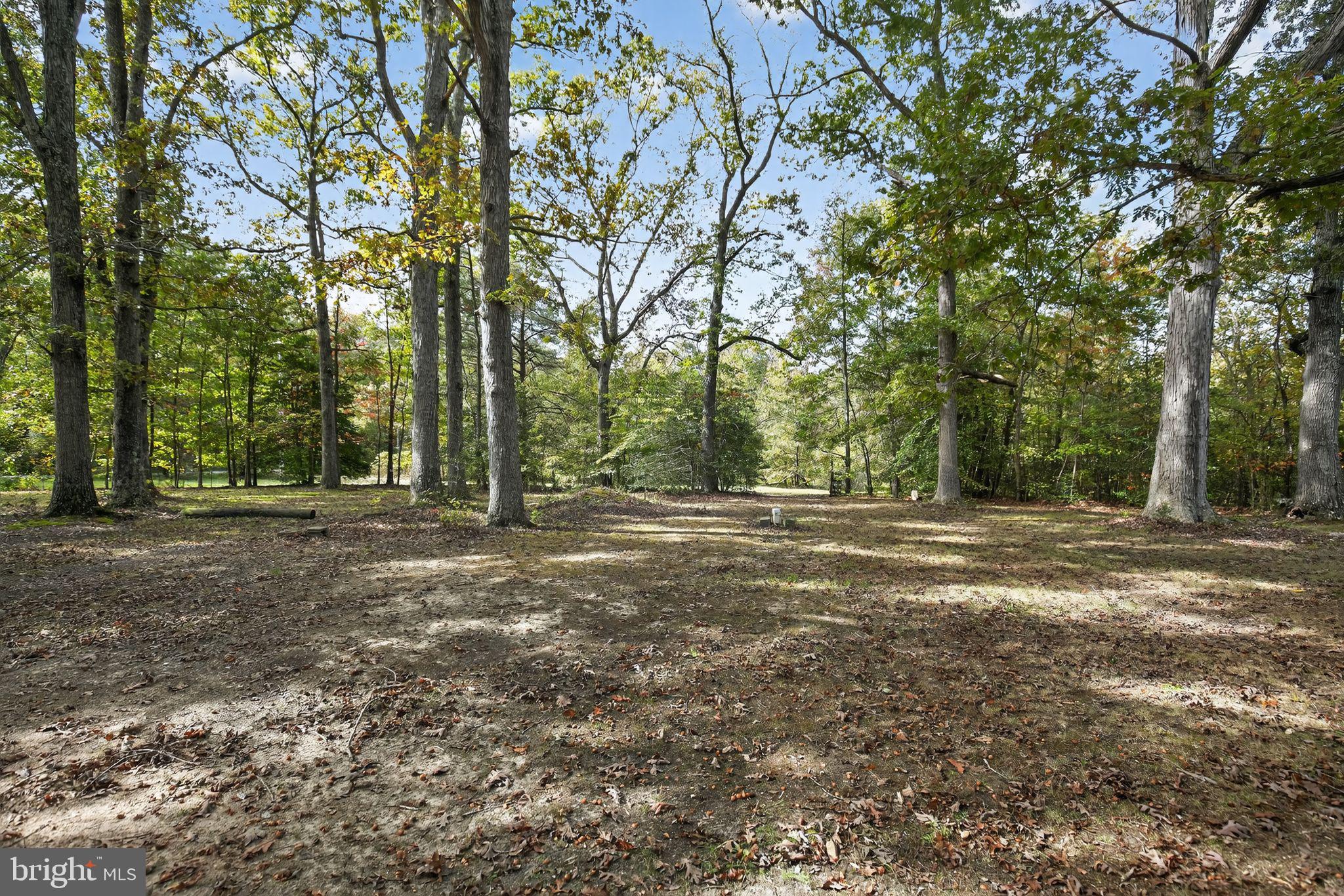 7532 Bumpy Oak Road La Plata, MD 20646 - Photo 38 of 40 Enjoy Trails