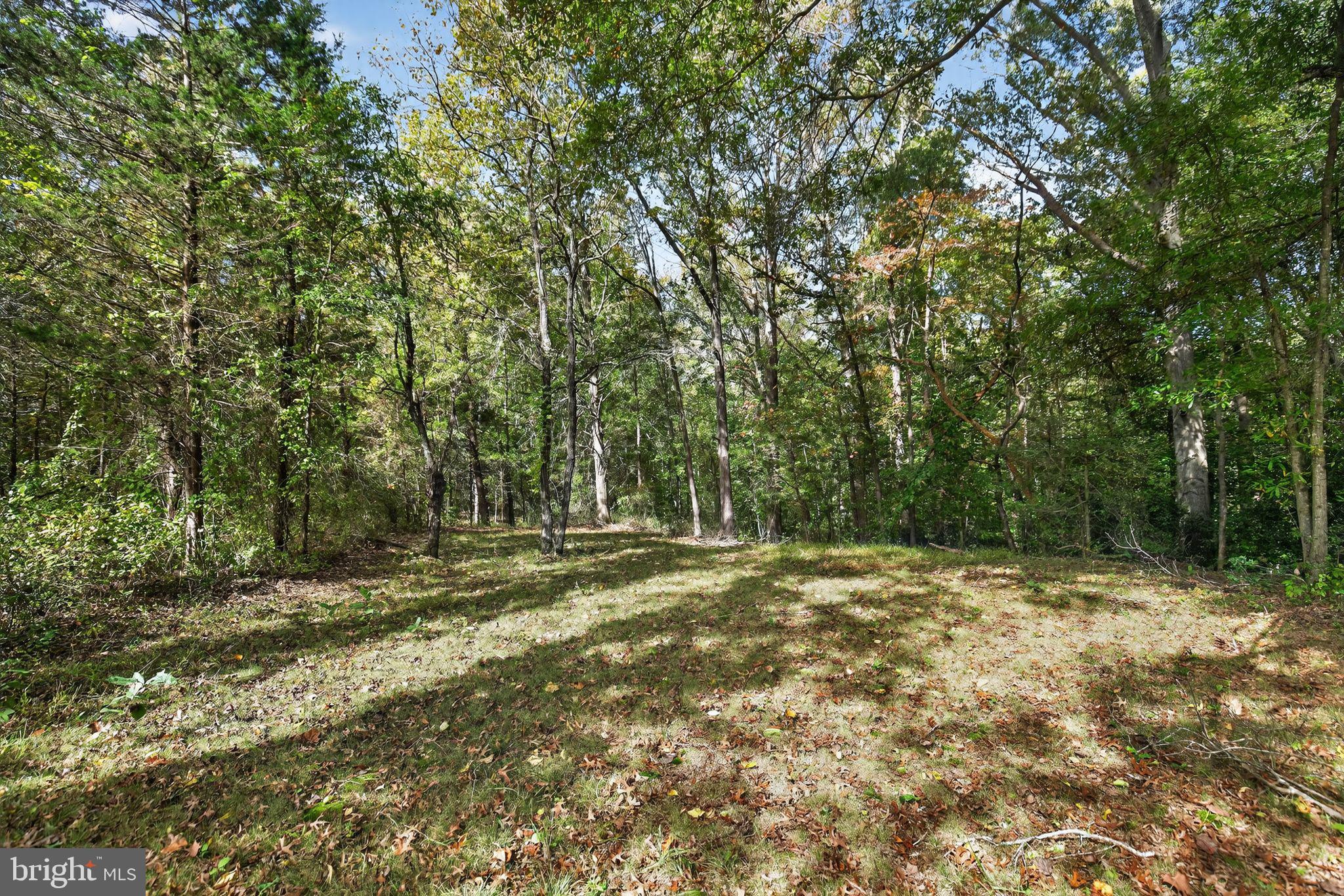 7532 Bumpy Oak Road La Plata, MD 20646 - Photo 39 of 40 Peaceful Oasis