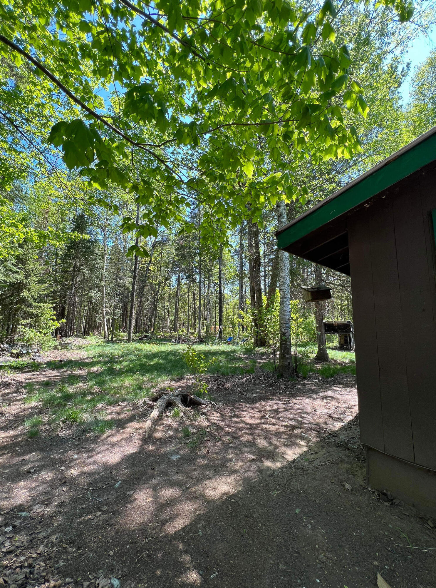 131 Porcupine Trail Stratton, ME 04982 - Photo 24 of 31 hedgehog-019