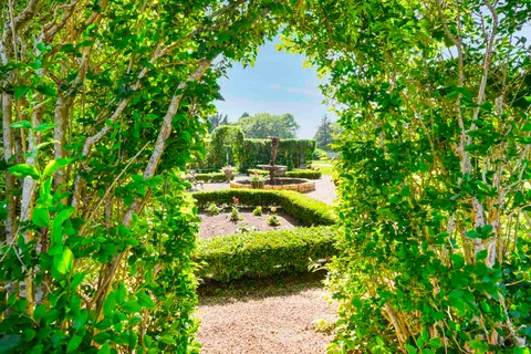 a view of a yard with plants and large trees