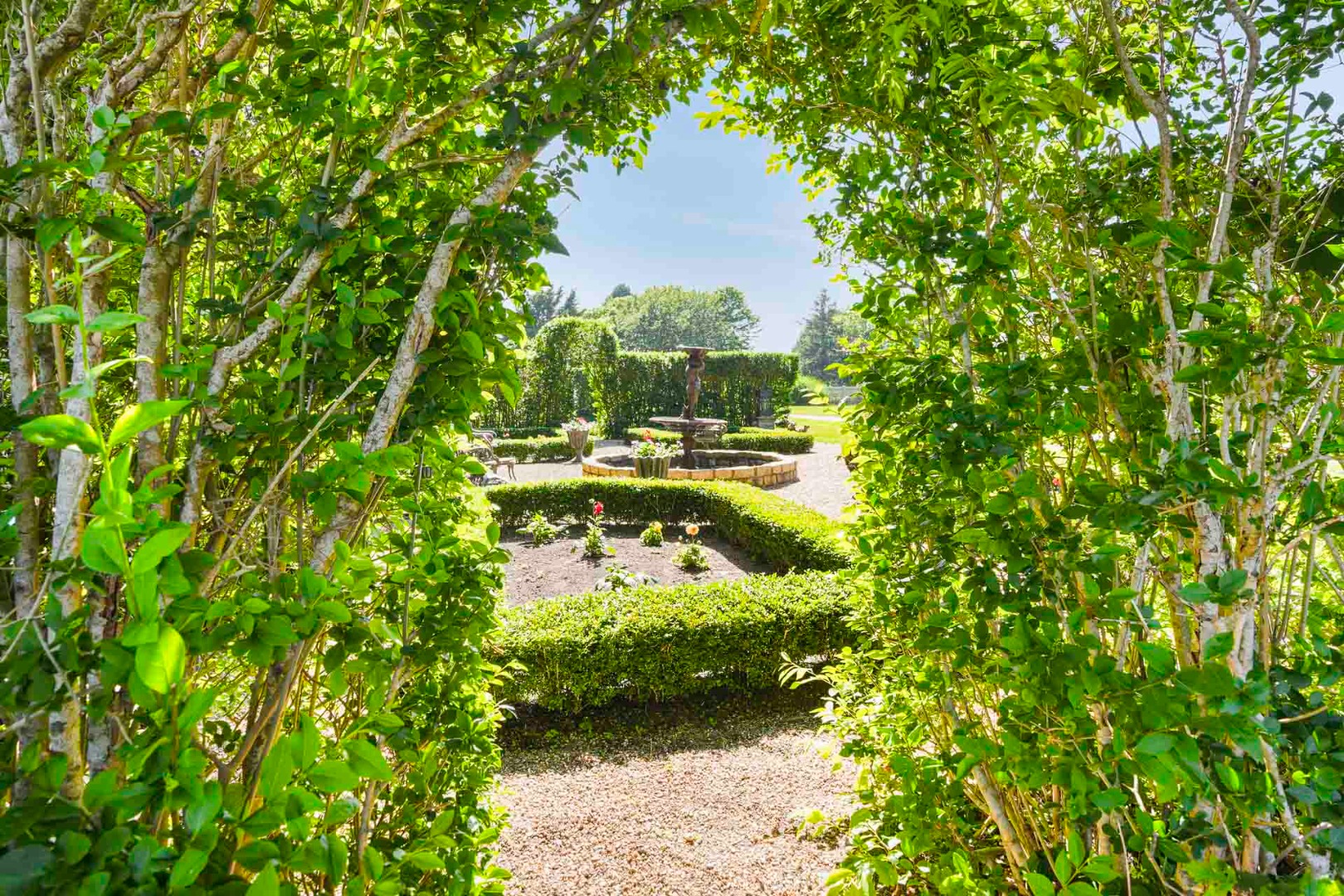 5 Louis Field Road Edgartown, MA 02539 - Photo 13 of 33 a view of a garden with lawn chairs