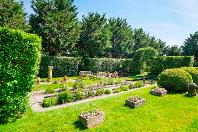 a view of a garden with plants