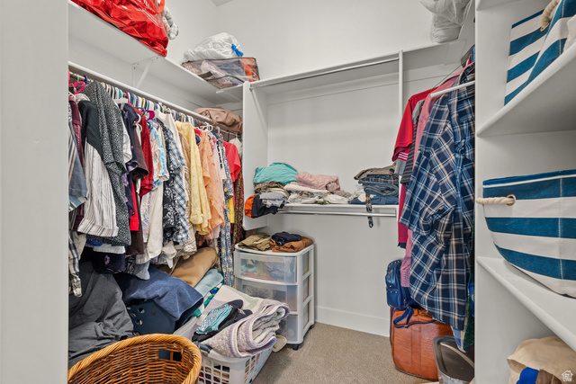 531 North Legend Way West, Unit D Mapleton, UT 84664 - Photo 20 of 42 Walk in closet with light carpet