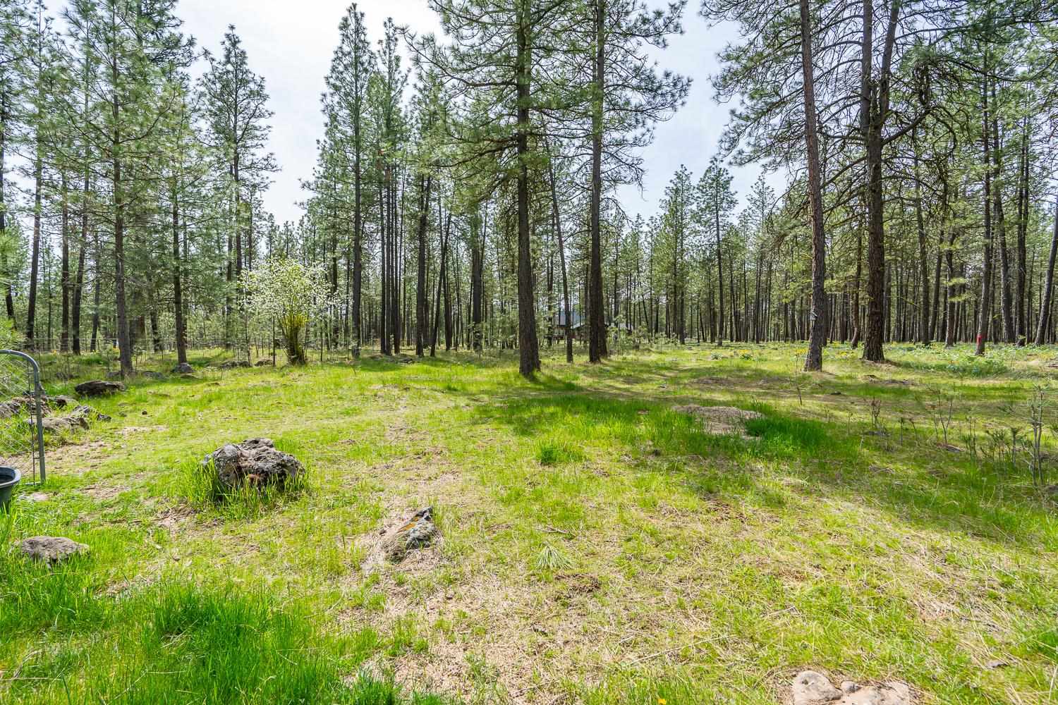 16720 South Malloy Prairie Road Cheney, WA 99004 - Photo 31 of 35