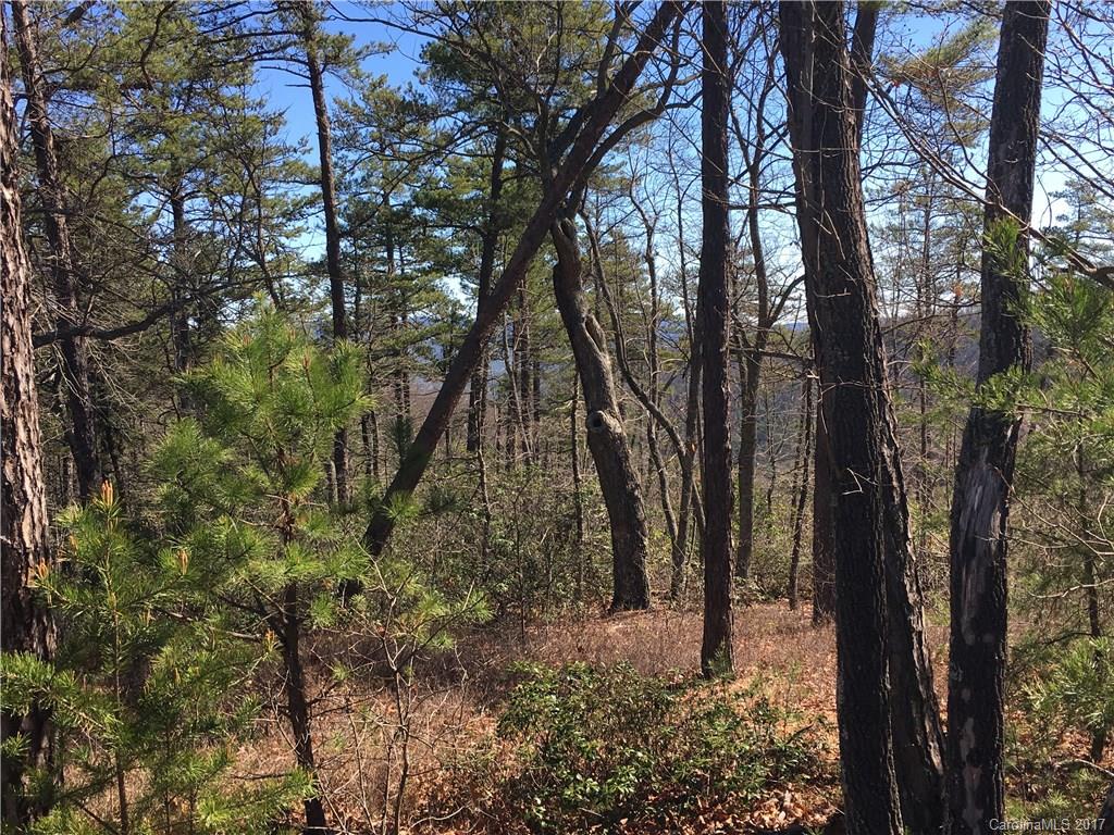Lot 34 Inspiration Ridge Drive, Unit 34 Bostic, NC 28018 - Photo 11 of 14 Gallery Image 11
